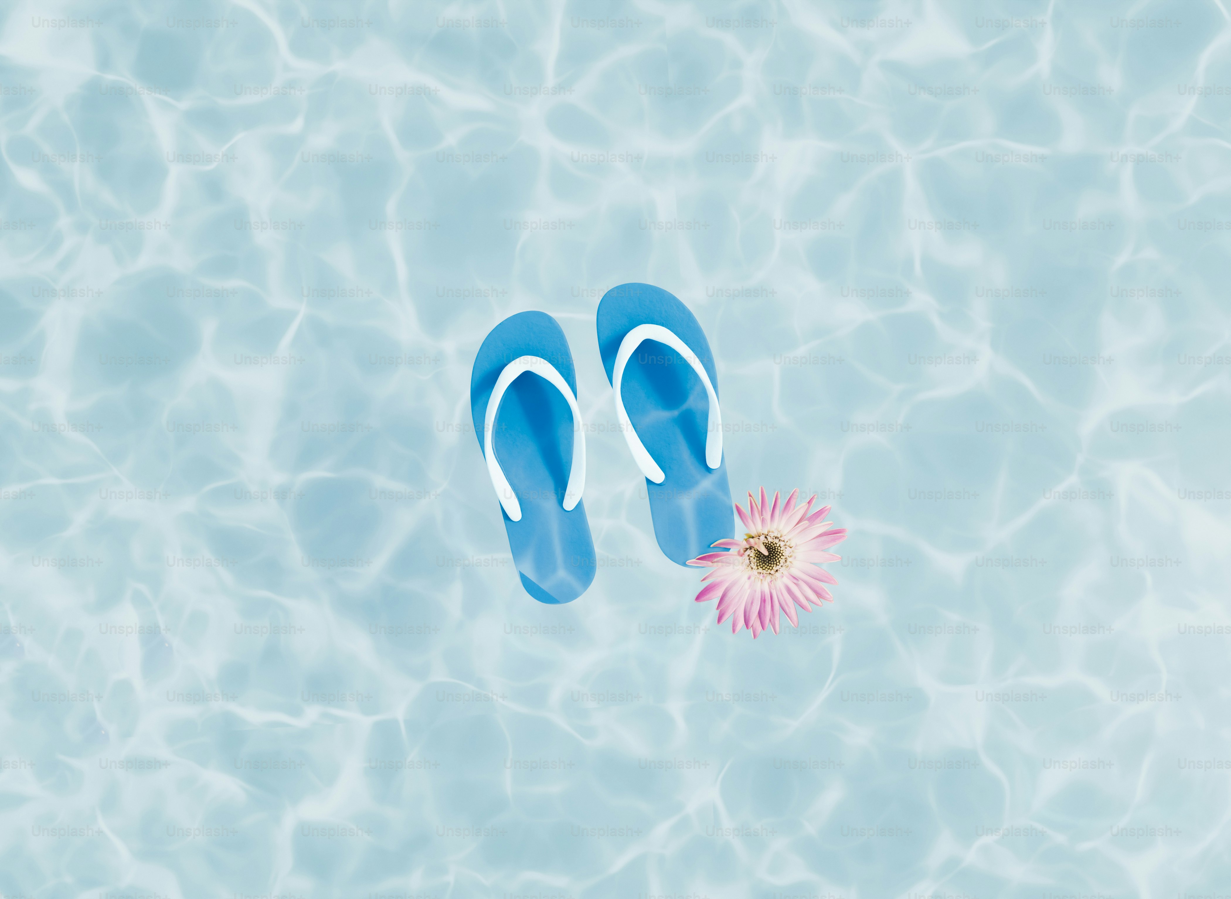 Tongs bleues et fleur rose flottant sur l’eau