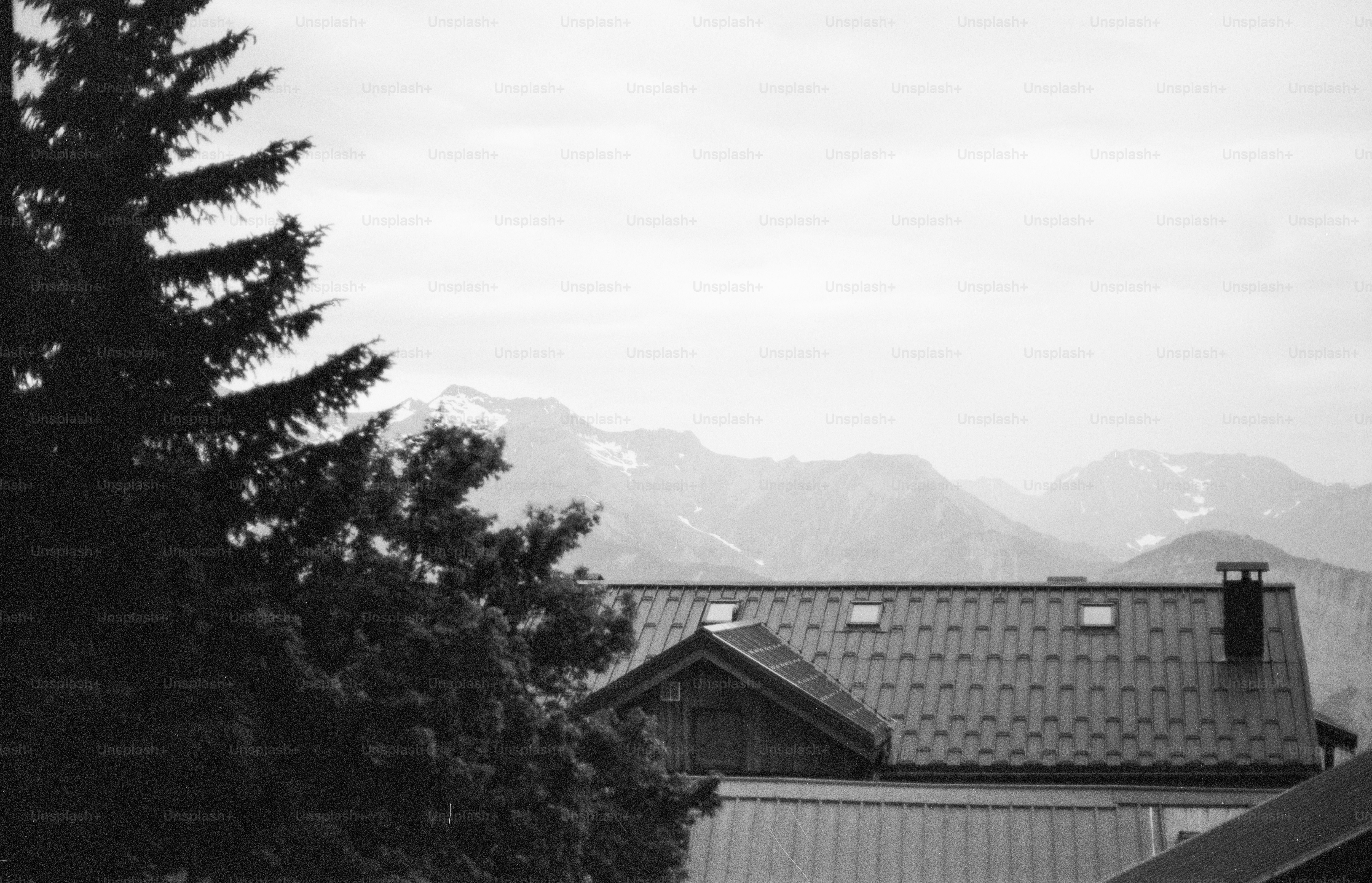Evergreen tree, house roof, and snow-capped mountains