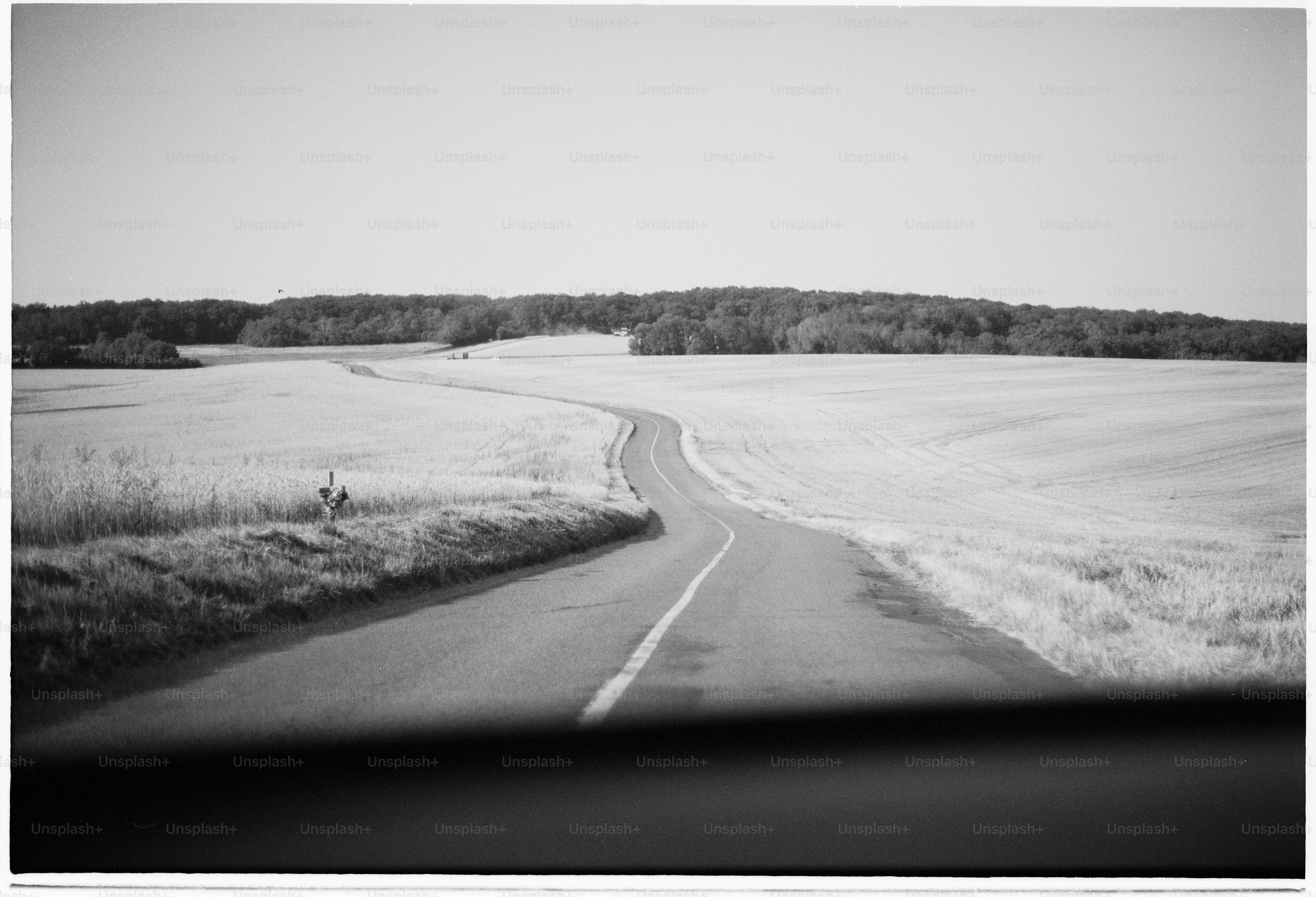 Winding road through fields under a clear sky
