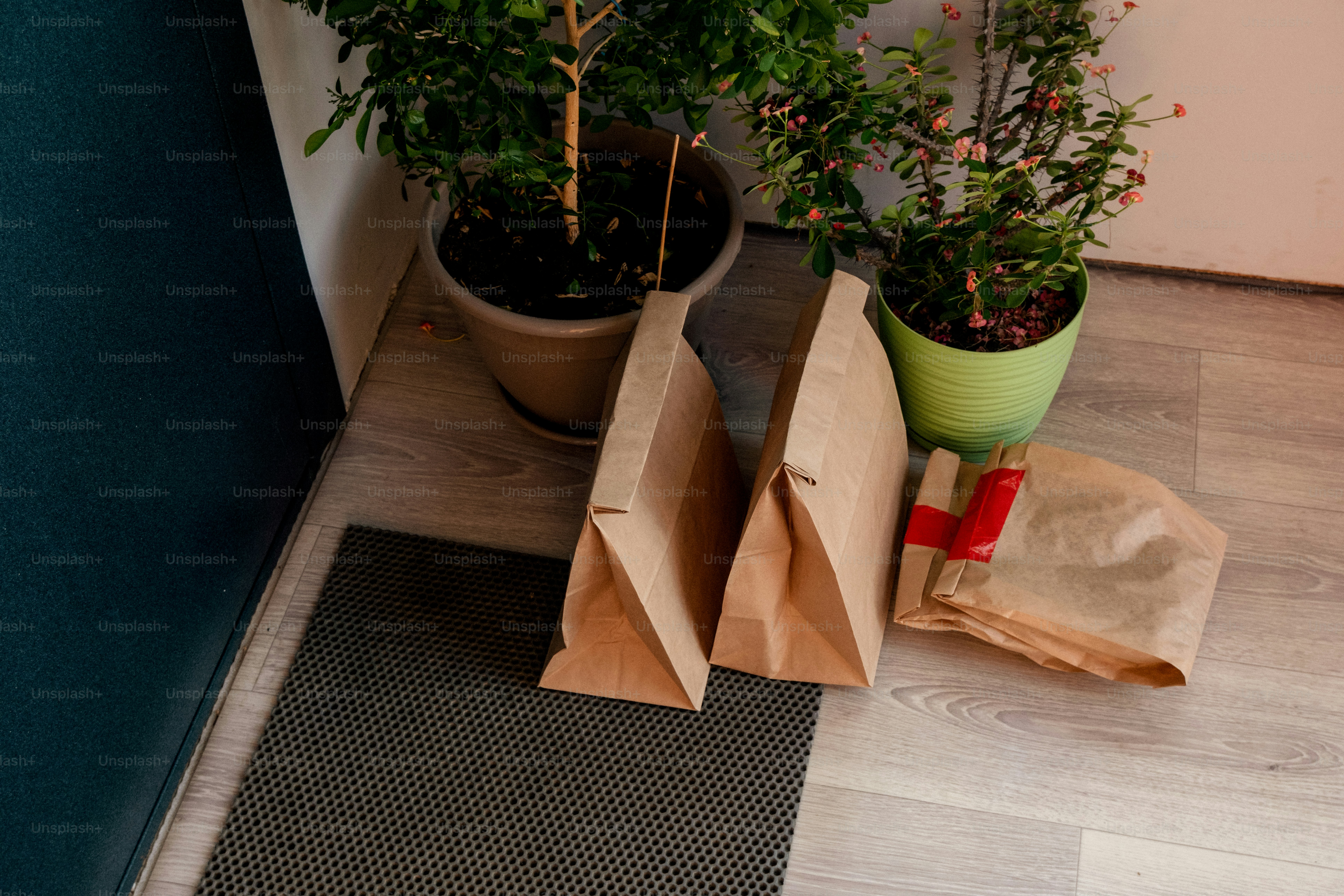 Takeout bags on a doorstep with potted plants