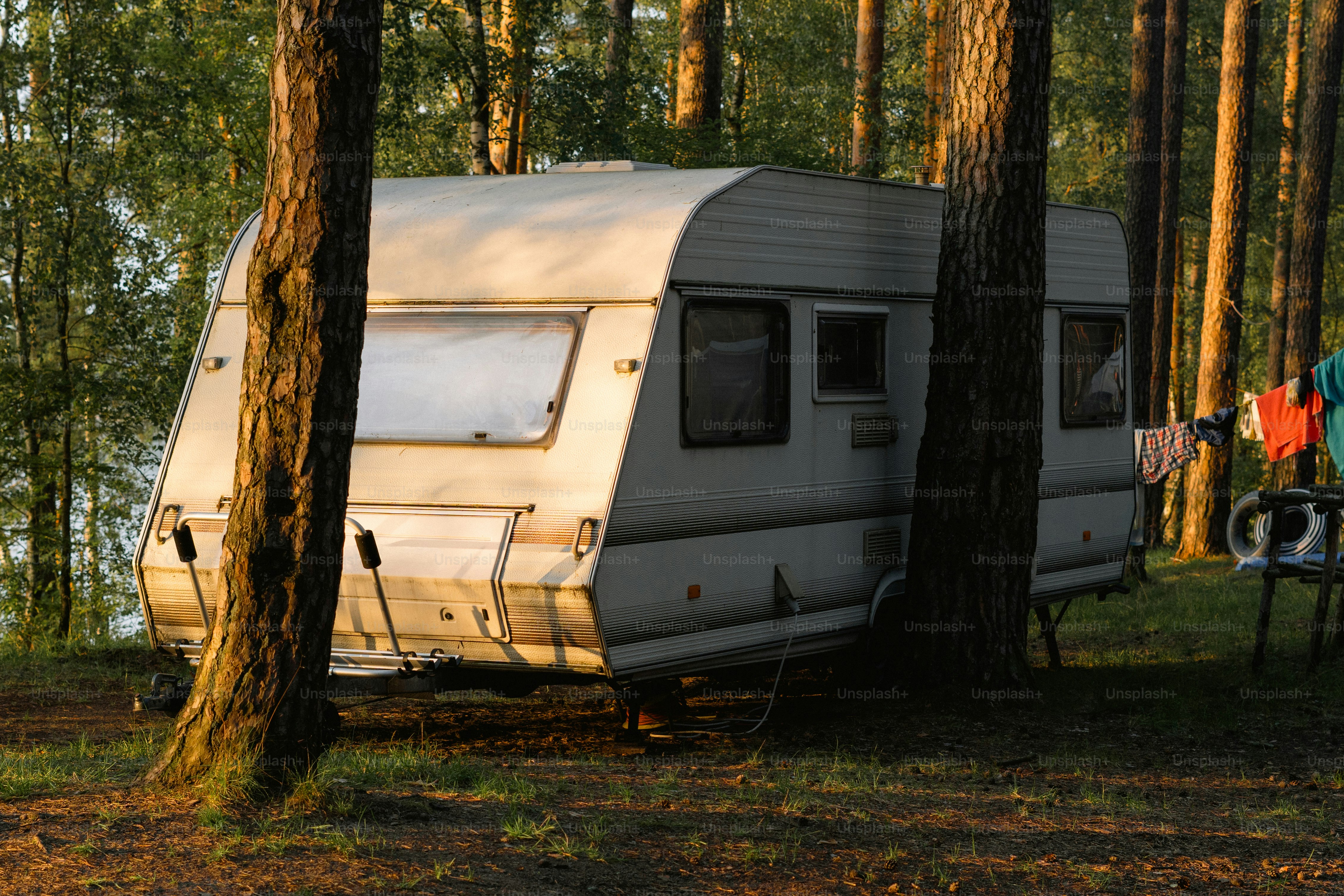 White caravan parked in a sunny forest