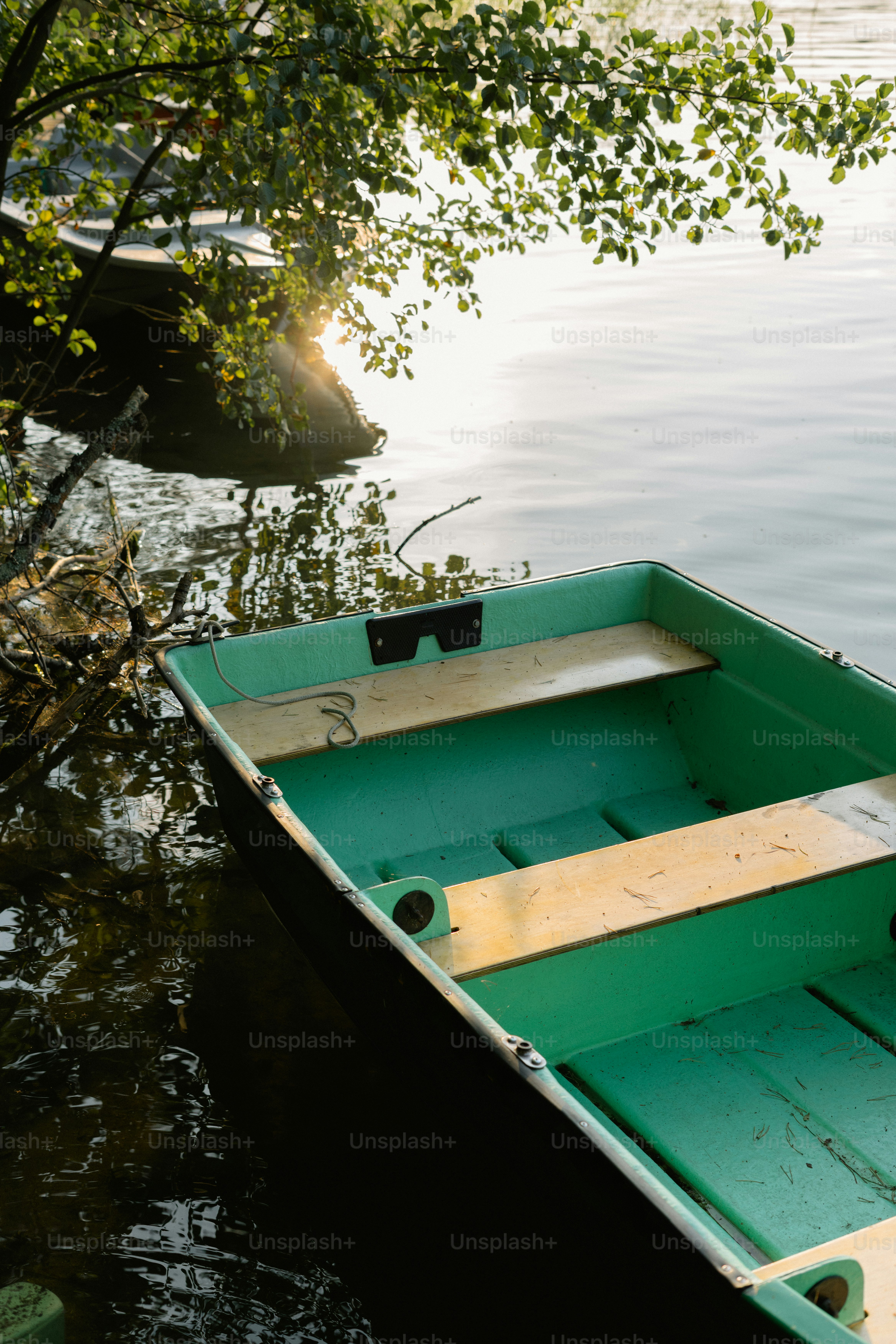 Green rowboat on calm water with sunlit trees