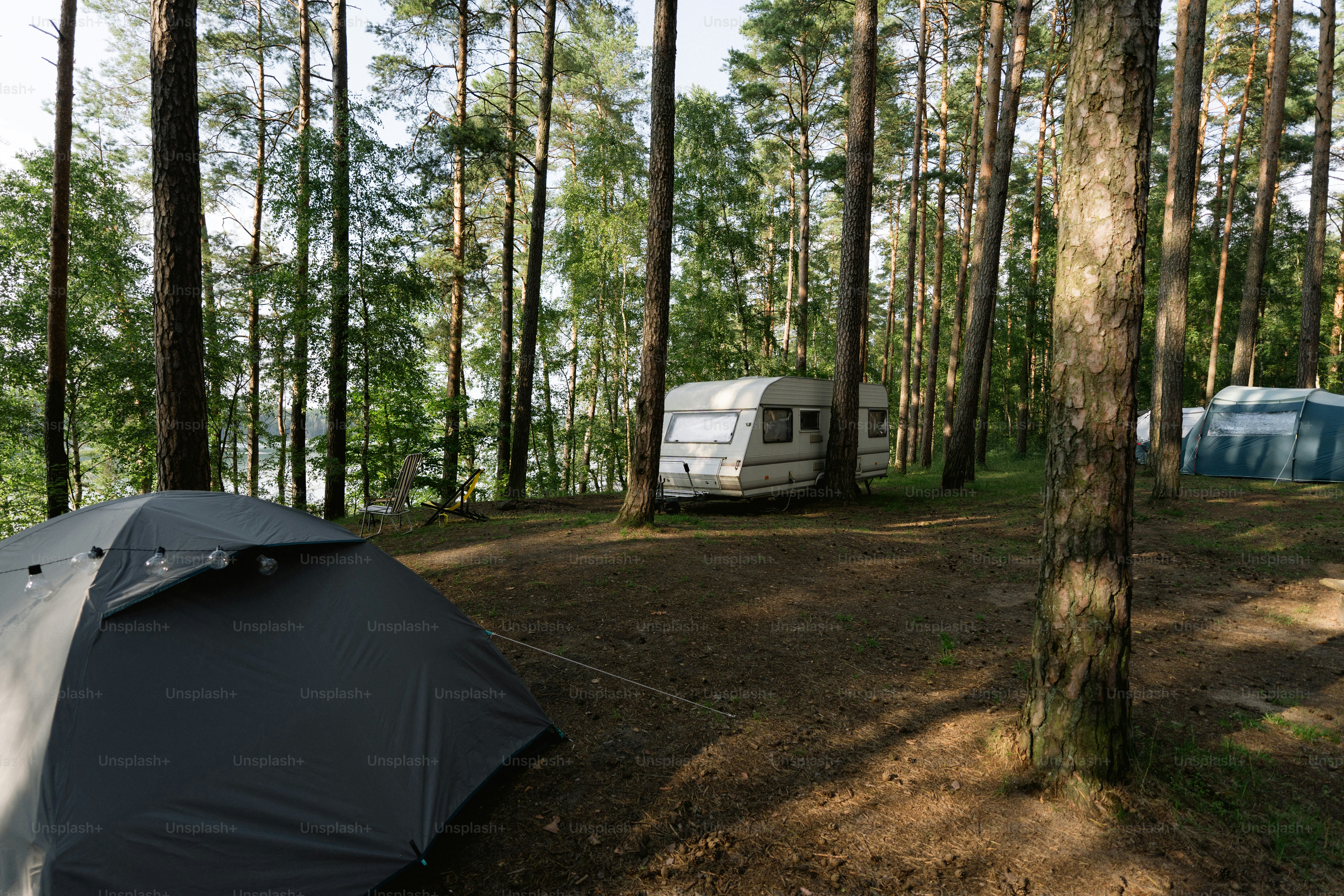Tent and caravan in a sunny forest campsite