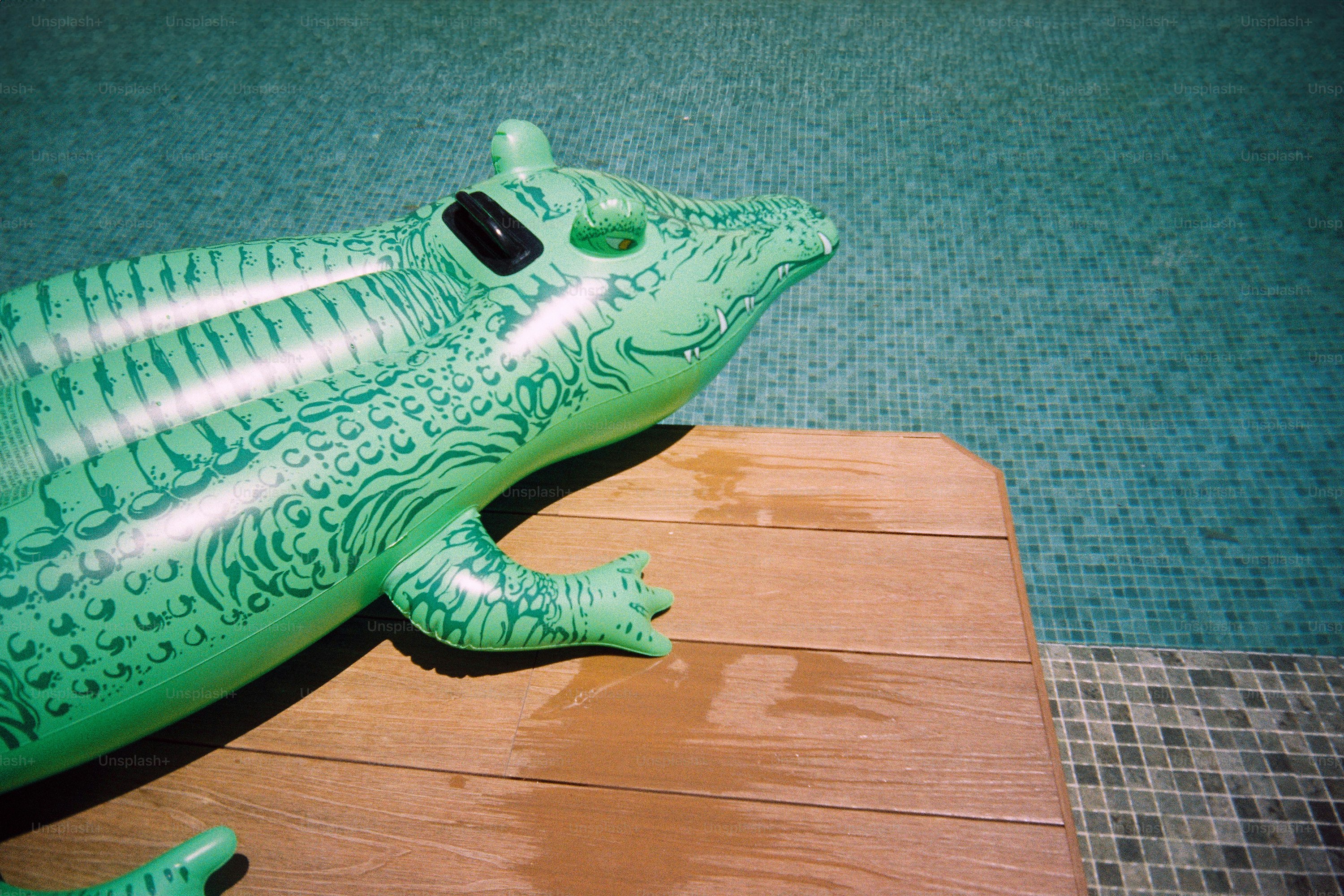 Inflatable crocodile toy on swimming pool edge
