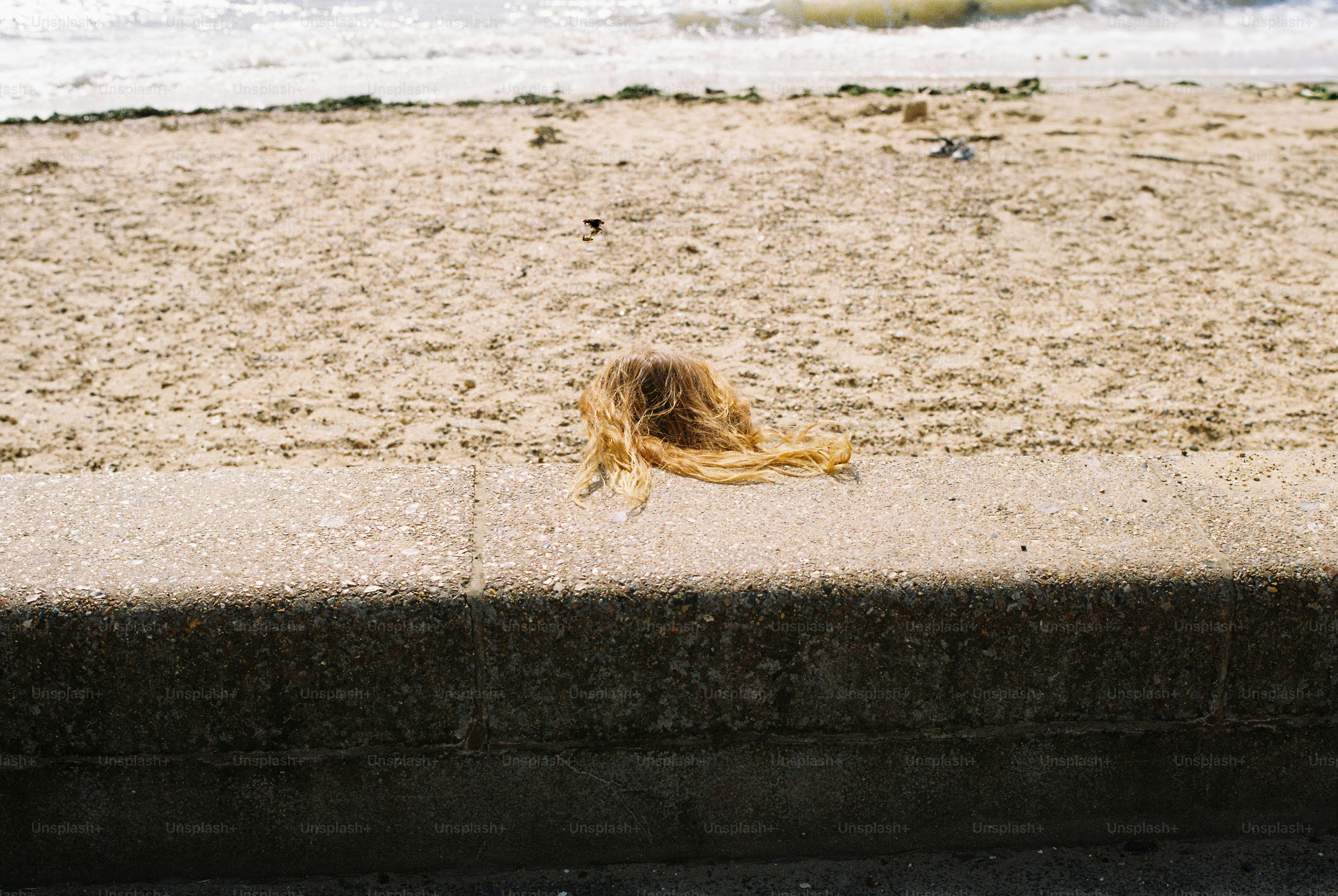 Hair resting on concrete wall overlooking sandy beach