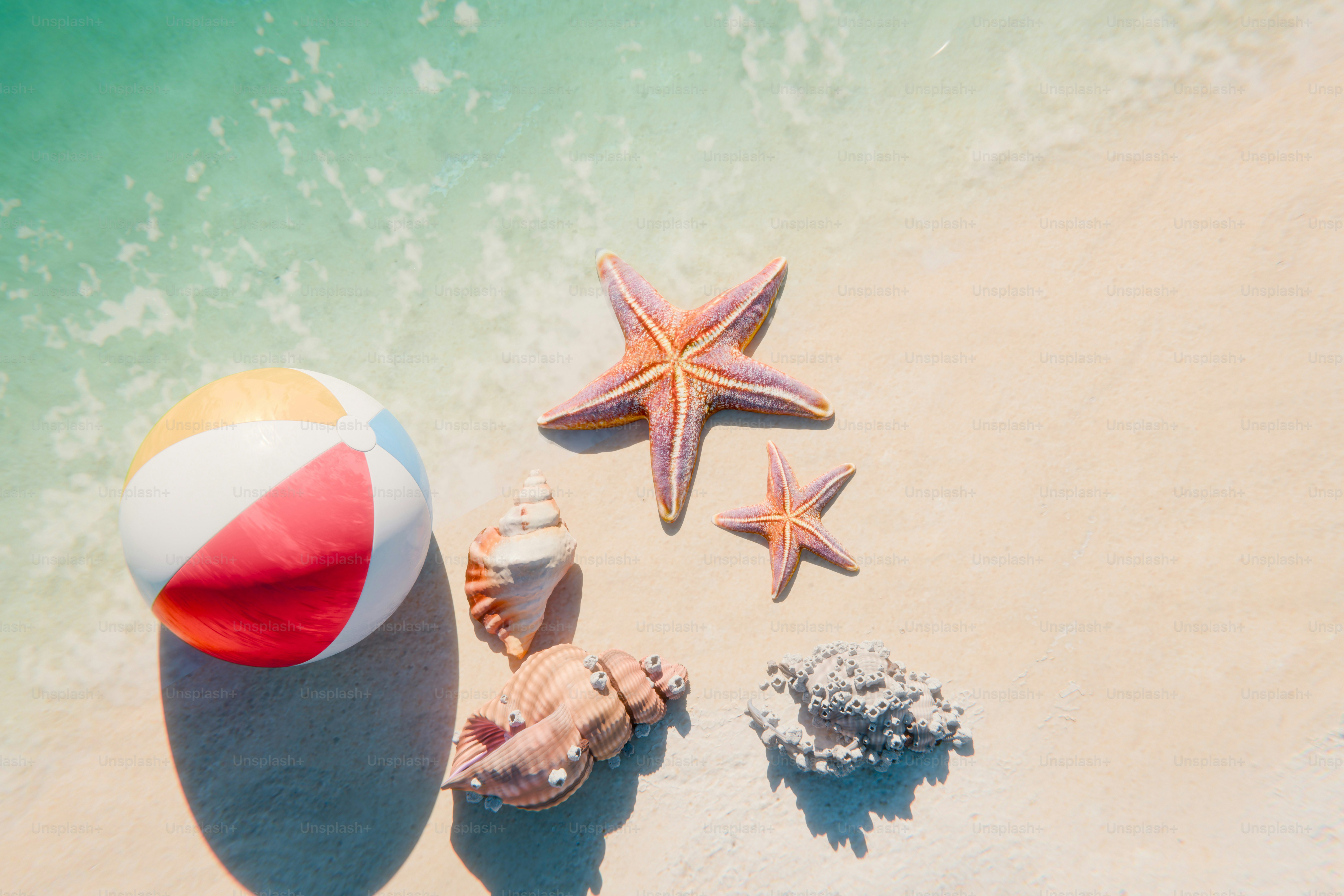 Beach ball, starfish, and seashells on sandy beach