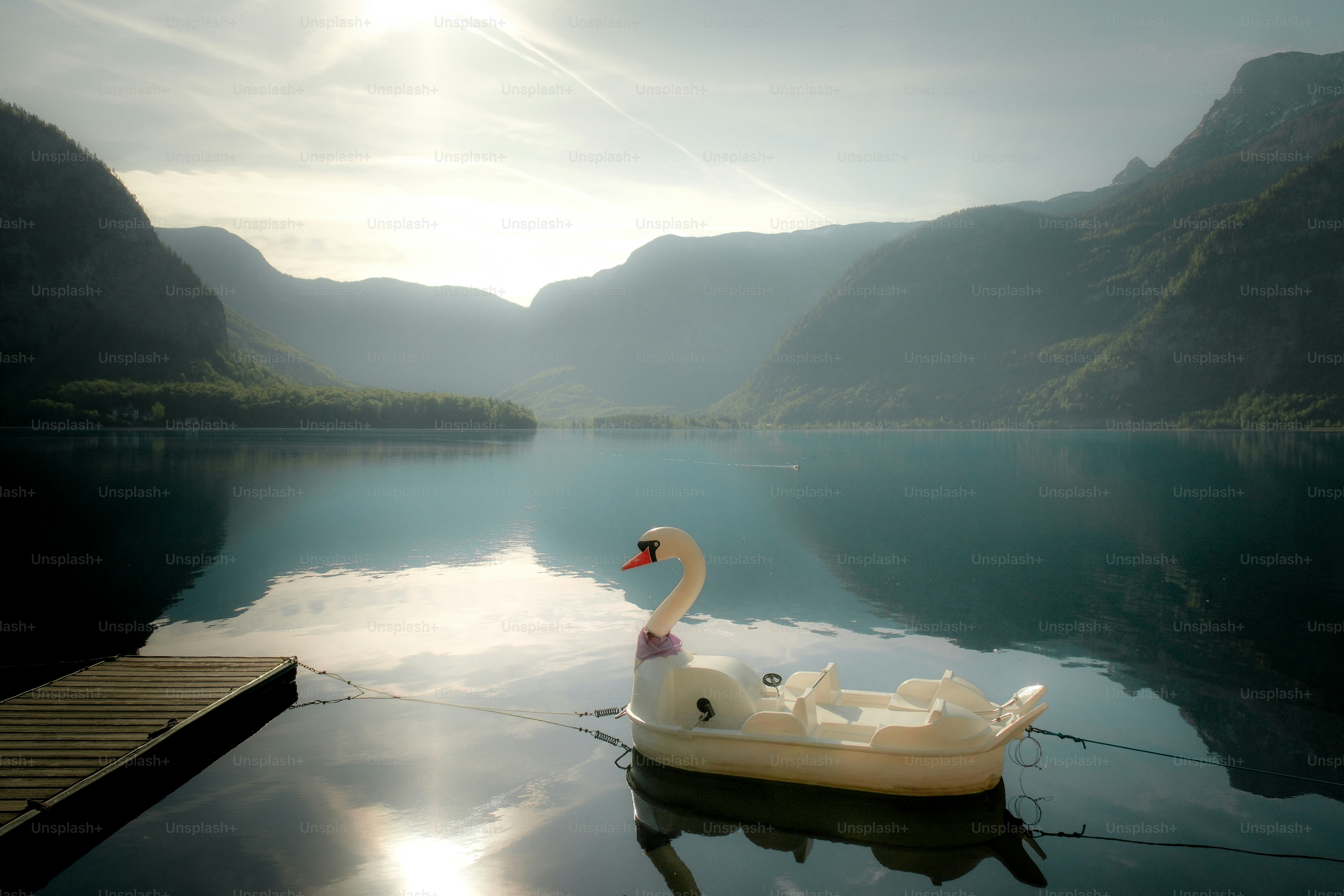 Perahu kayuh angsa di danau gunung yang tenang