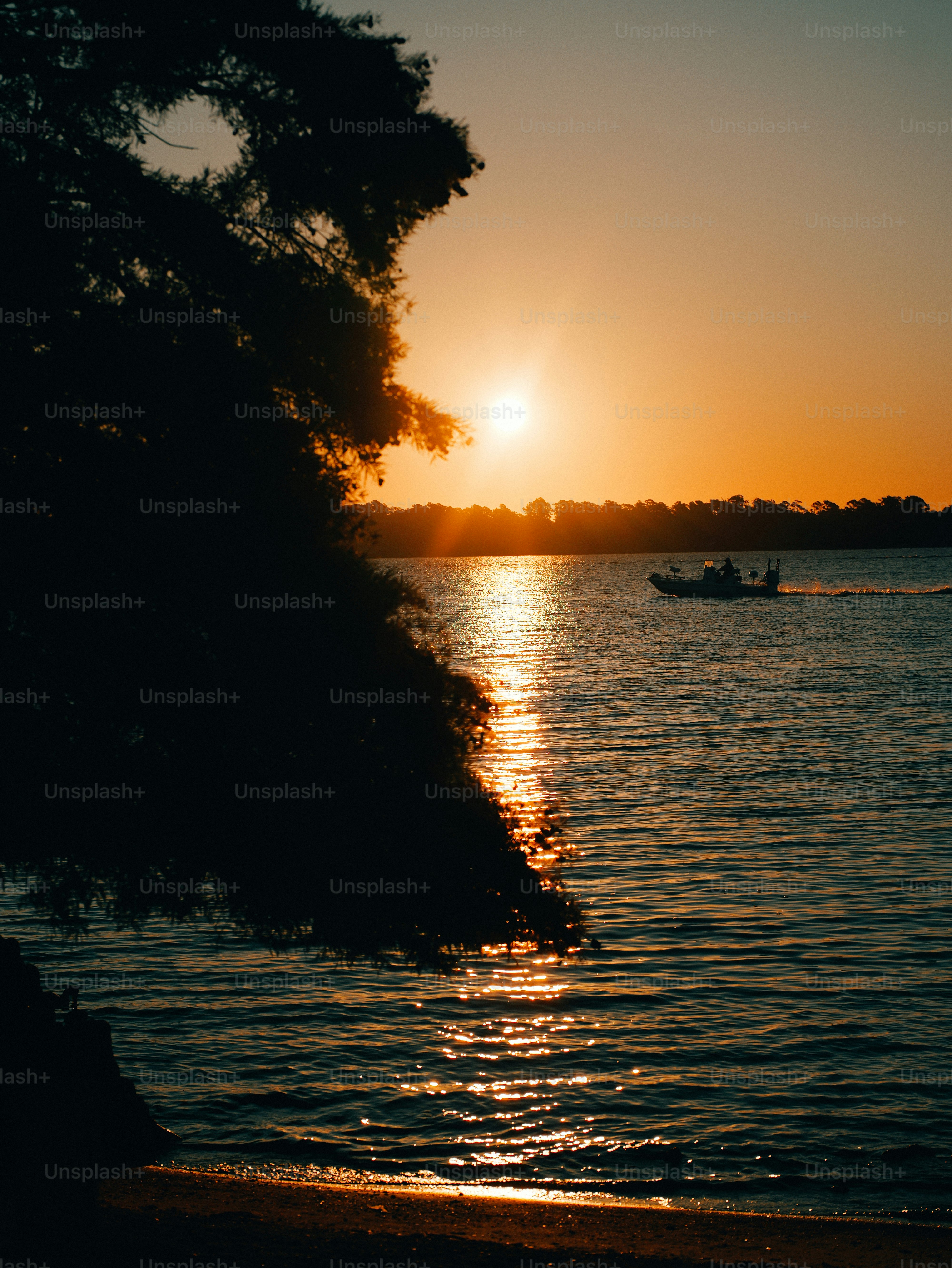 Boat on water at sunset, tree silhouette