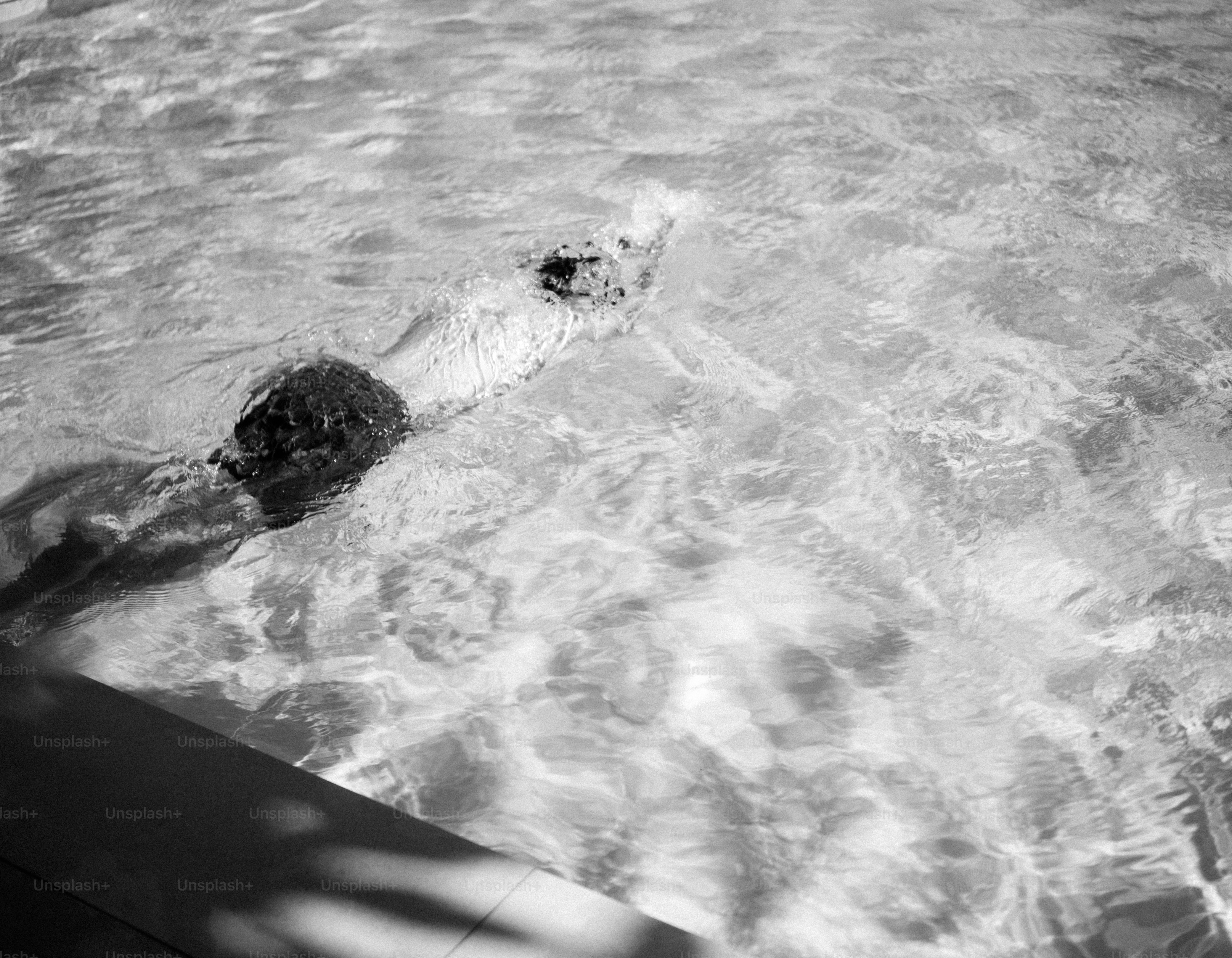 Persona che nuota in una piscina illuminata dal sole