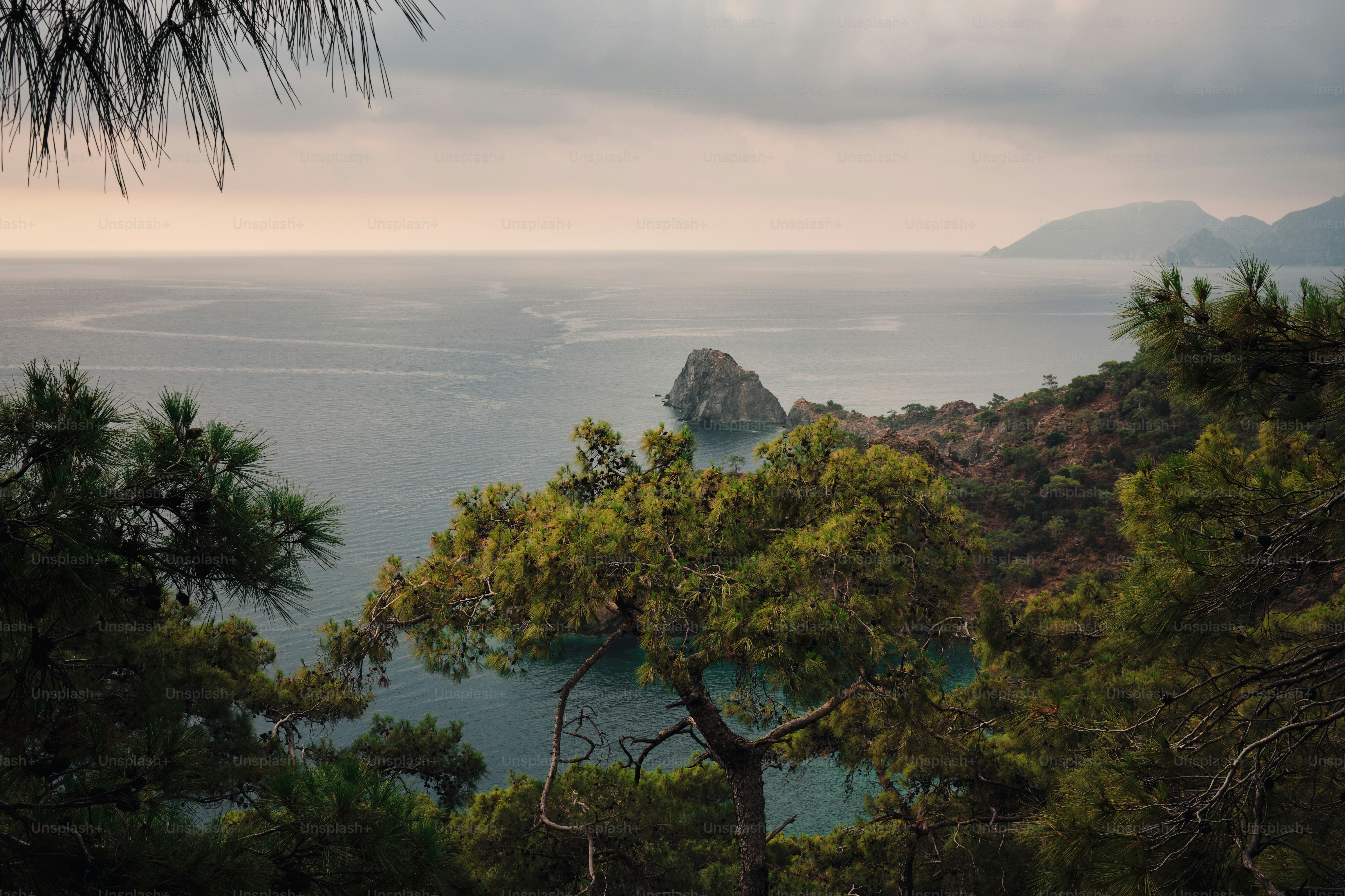 Coastal view with rocky island and green trees