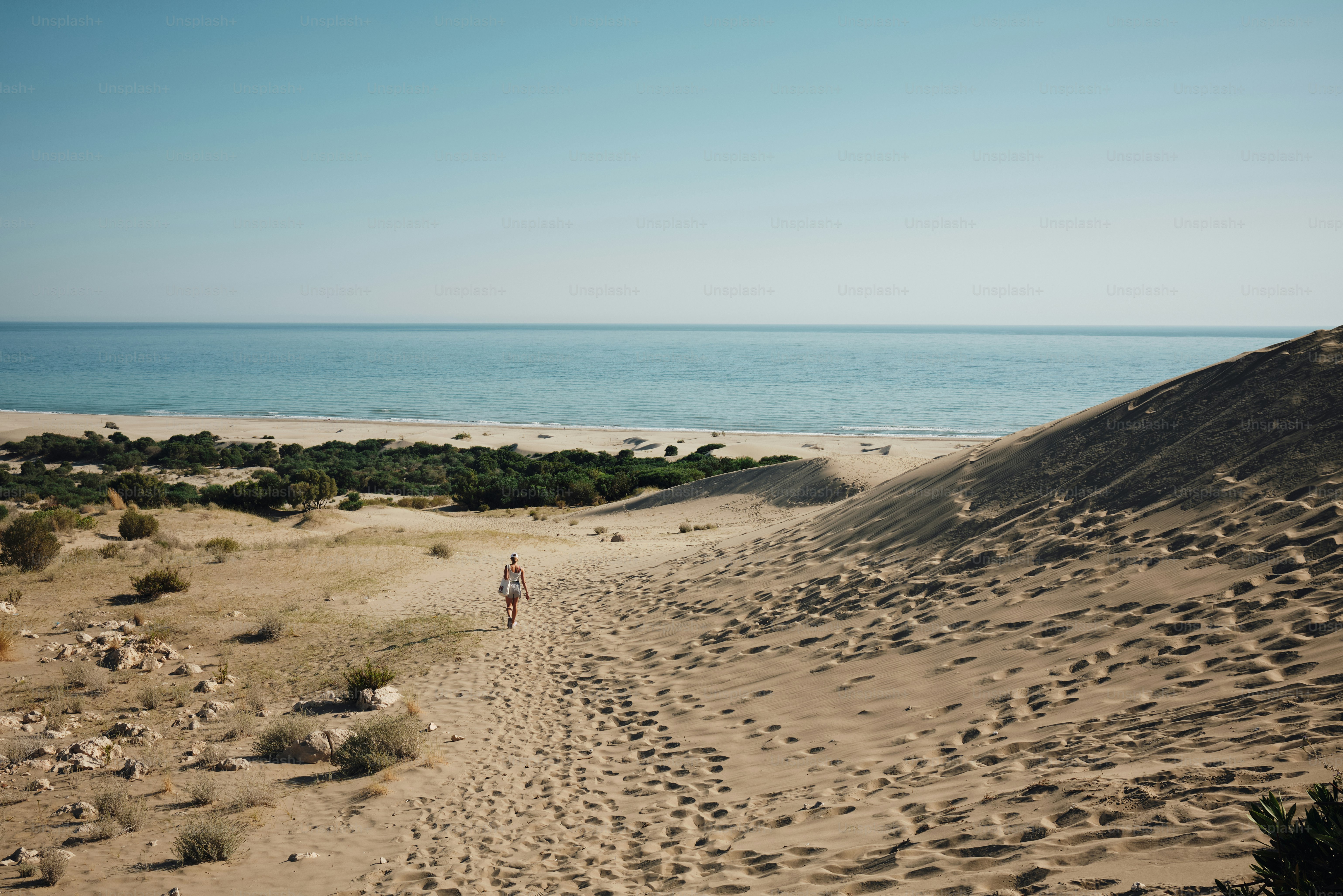 Person walking on sandy path to sunny beach