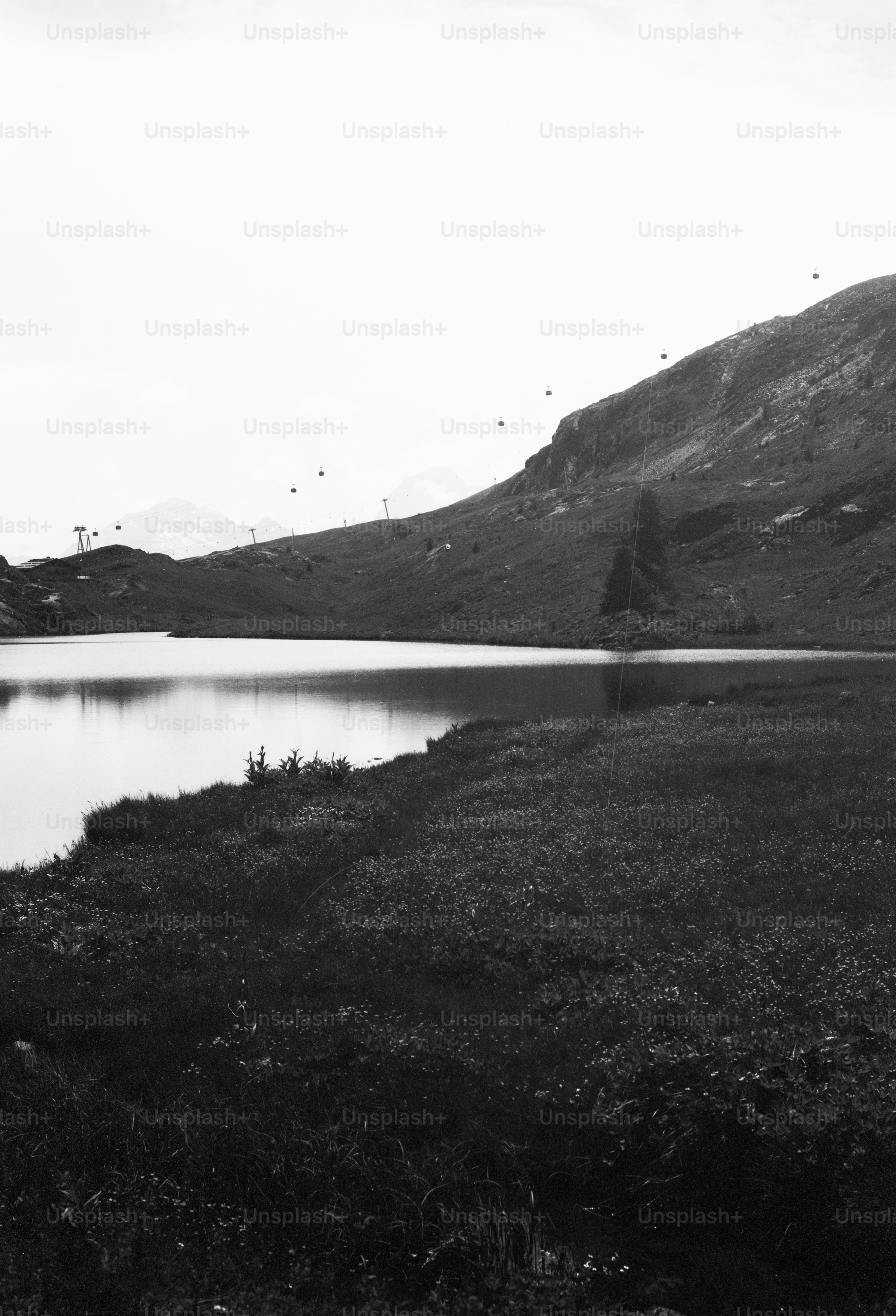 Alpine lake and grassy shore with cable cars