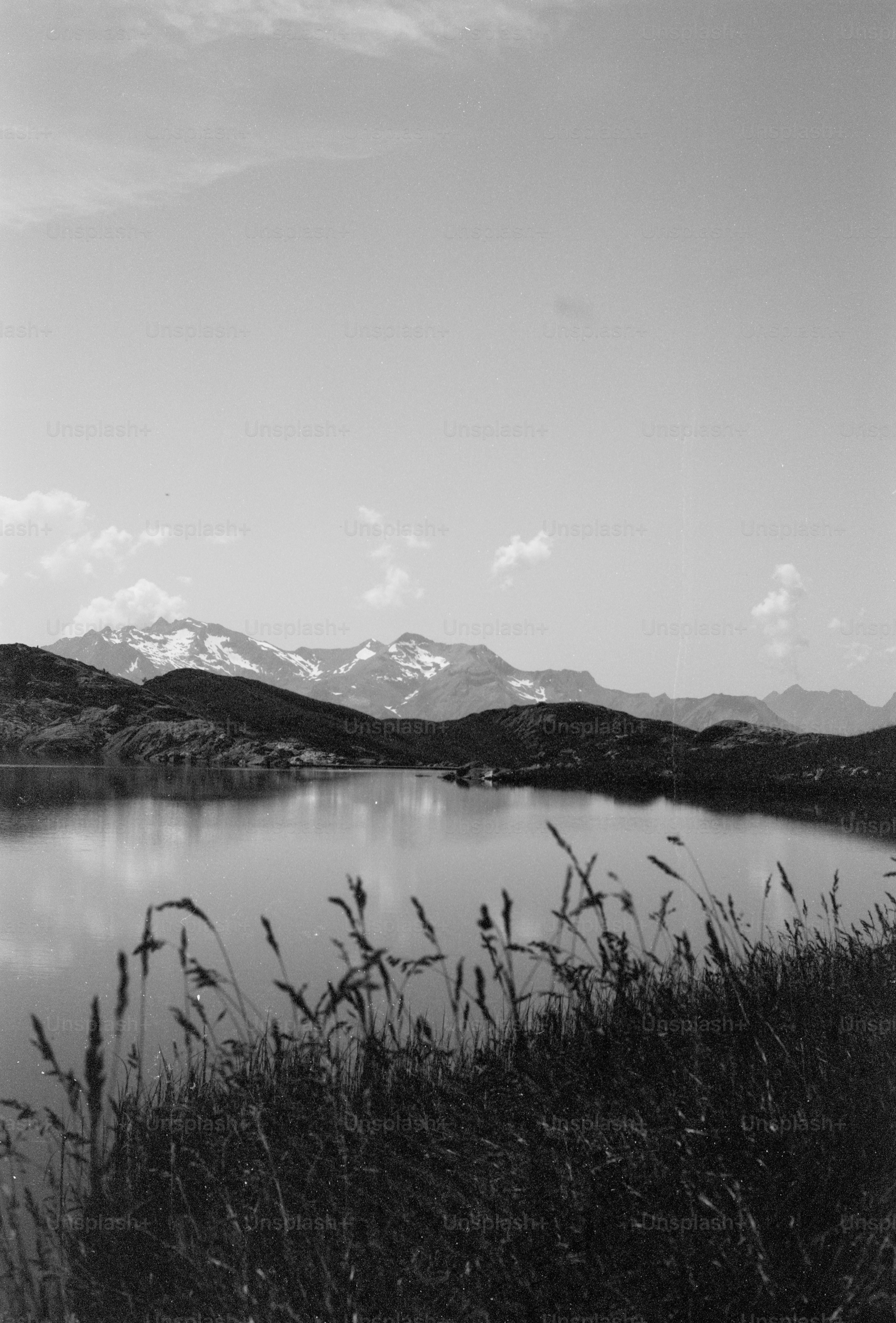 Black and white lake, mountains and tall grass