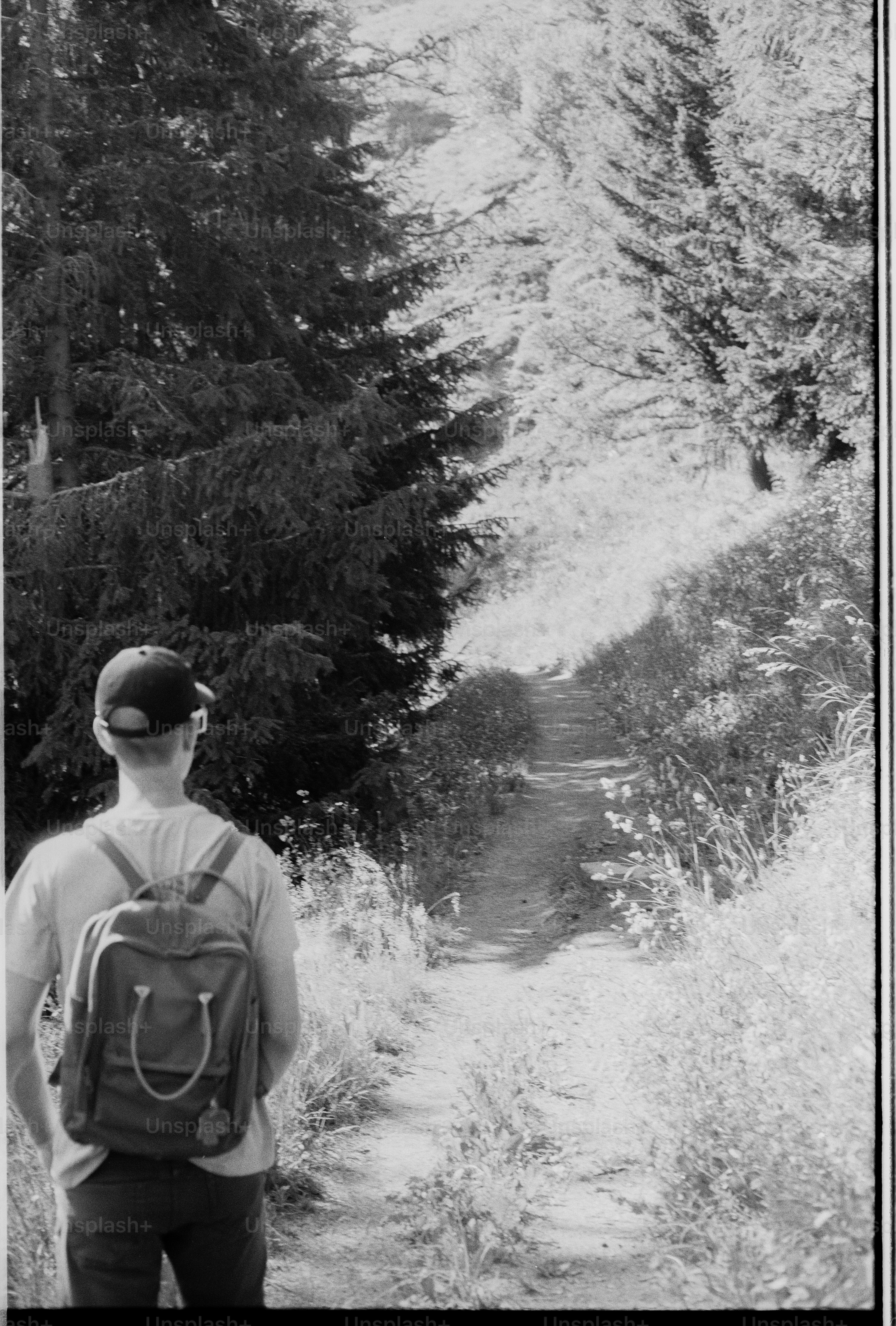 Hiker with backpack on forest path