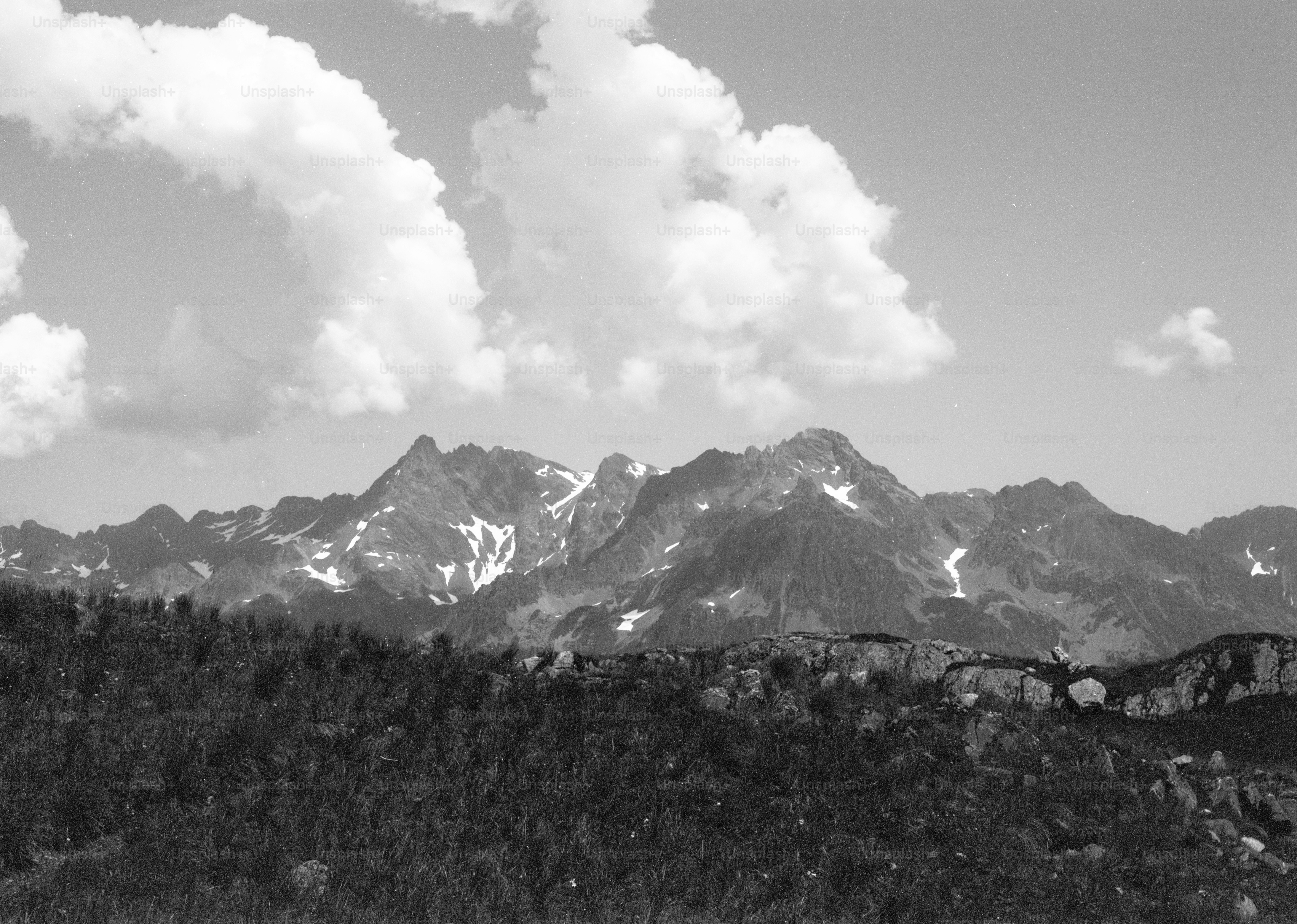 Forested hills and snow-capped mountains under clouds