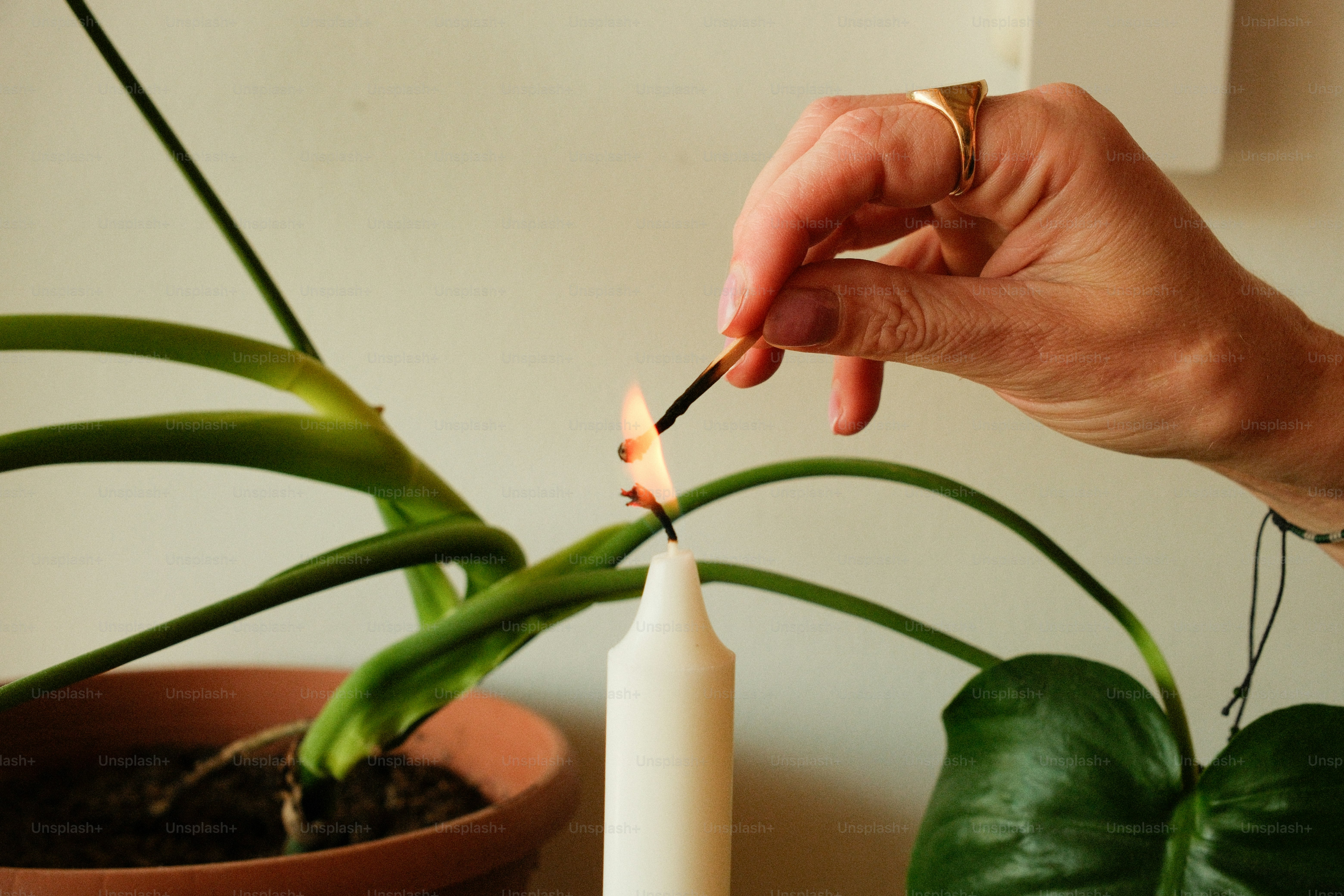 Hand lighting white candle with match near green plant