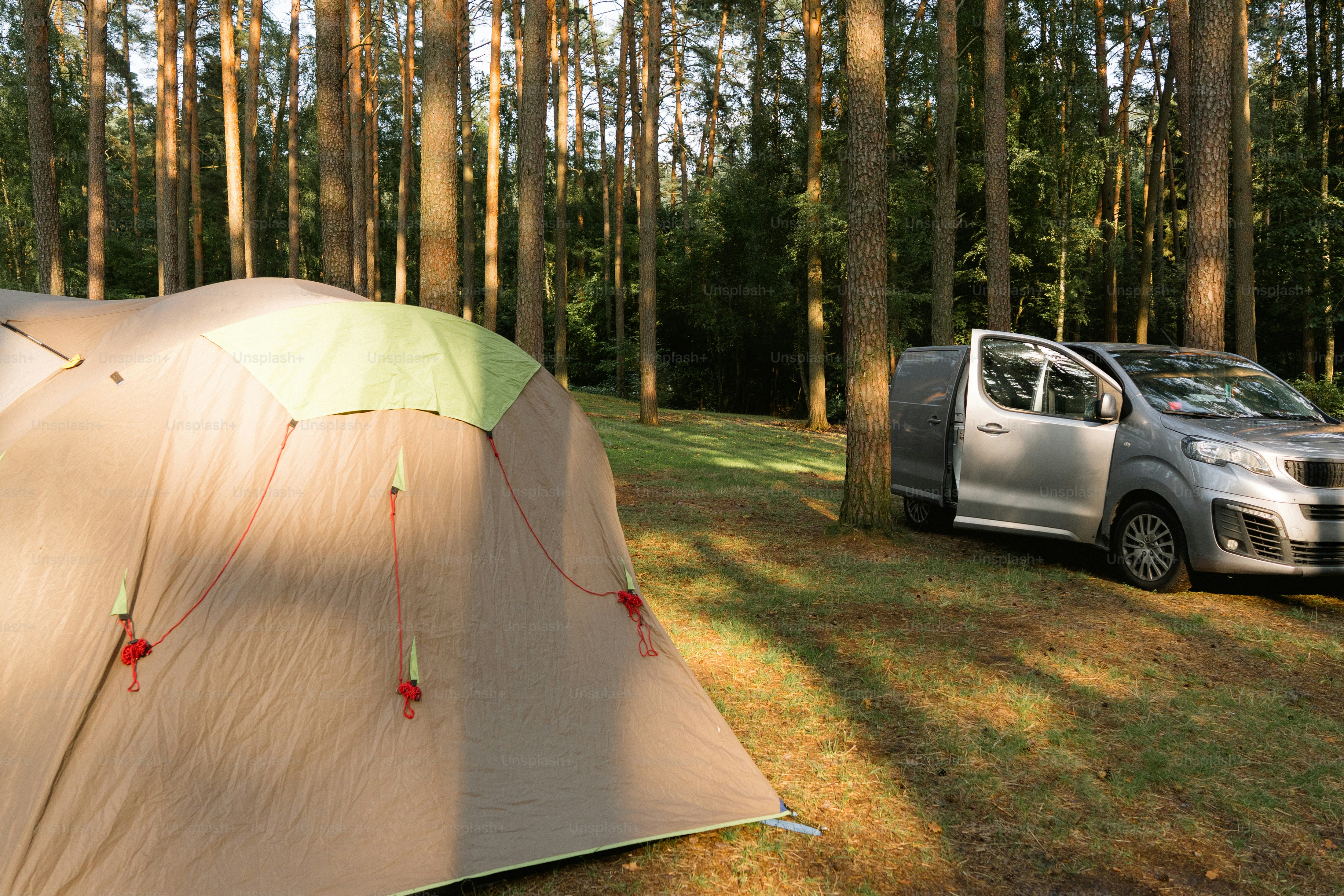 Tent and silver van parked in a sunny forest