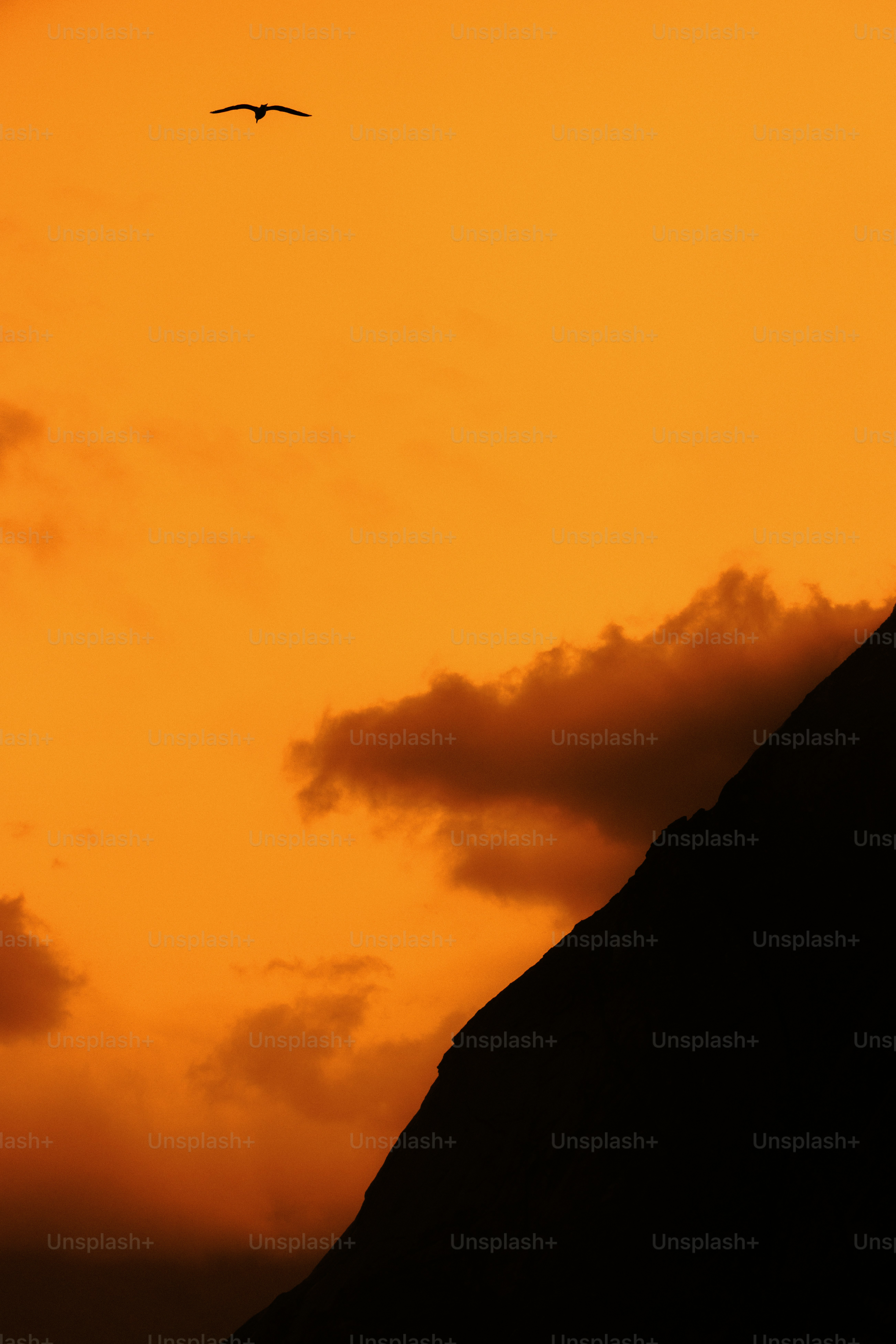 Bird flying in orange sky with dark clouds and mountain