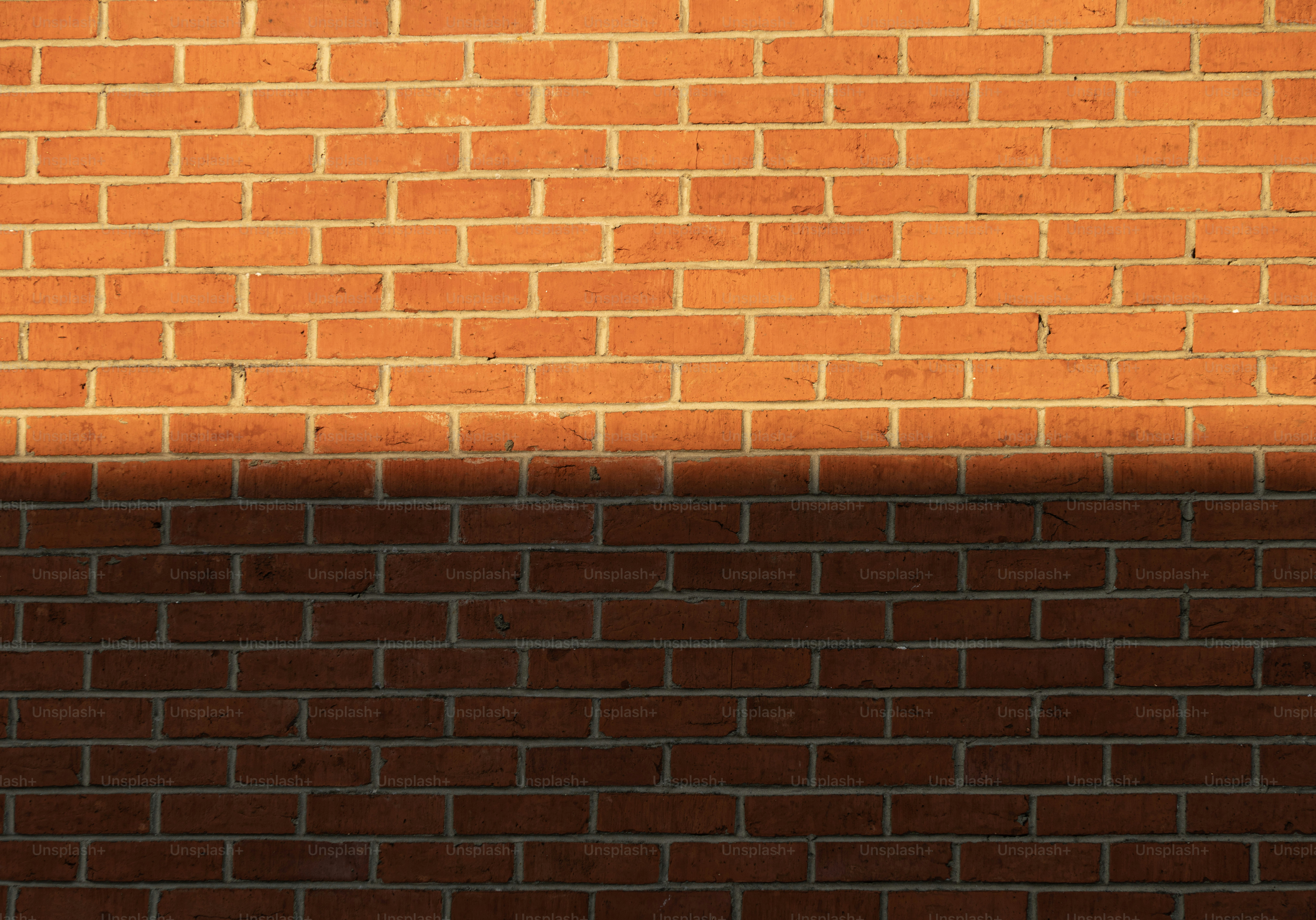 Brick wall divided by sunlight and shadow