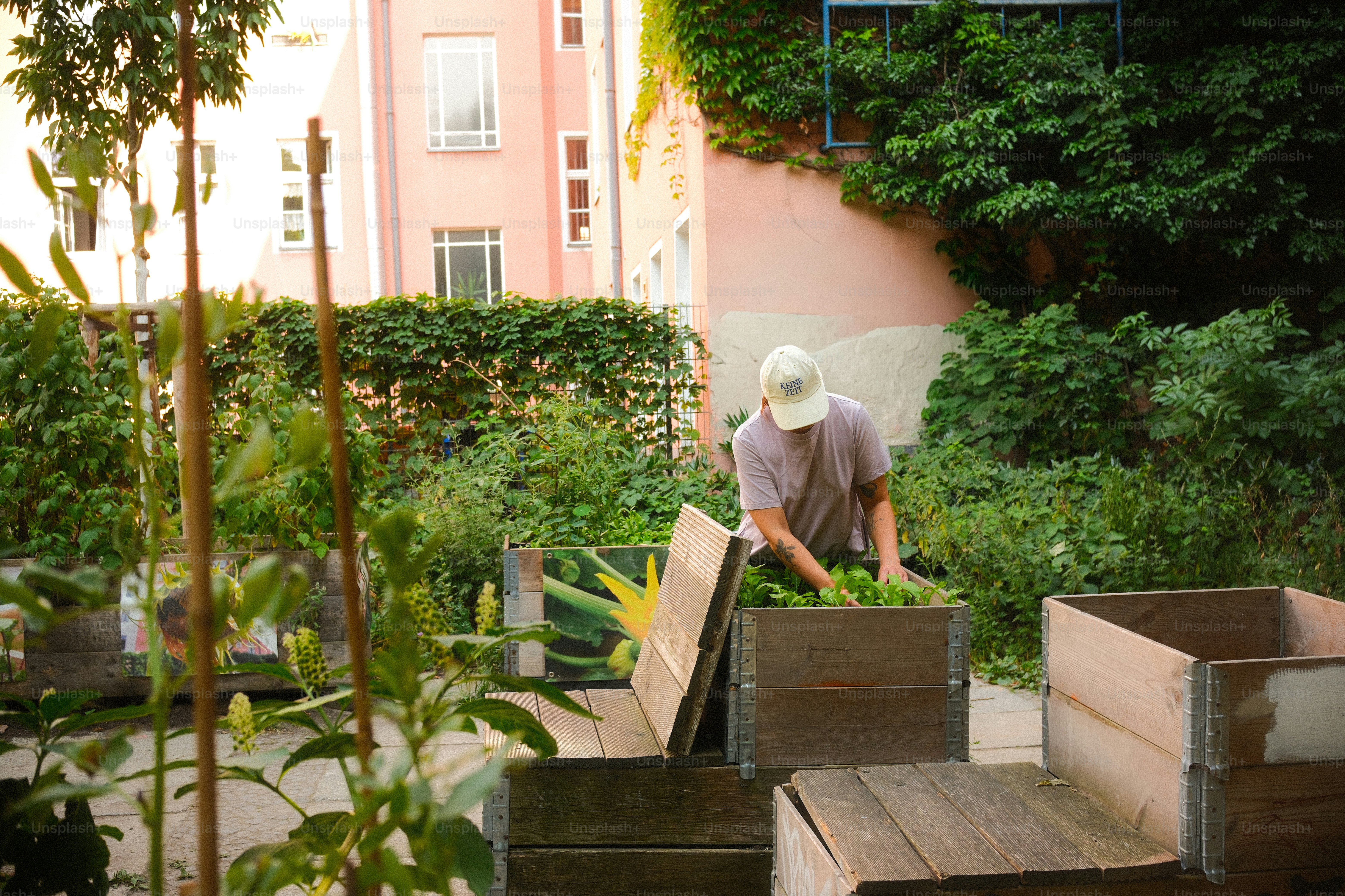 Jardinero cuidando plantas en parterres urbanos elevados