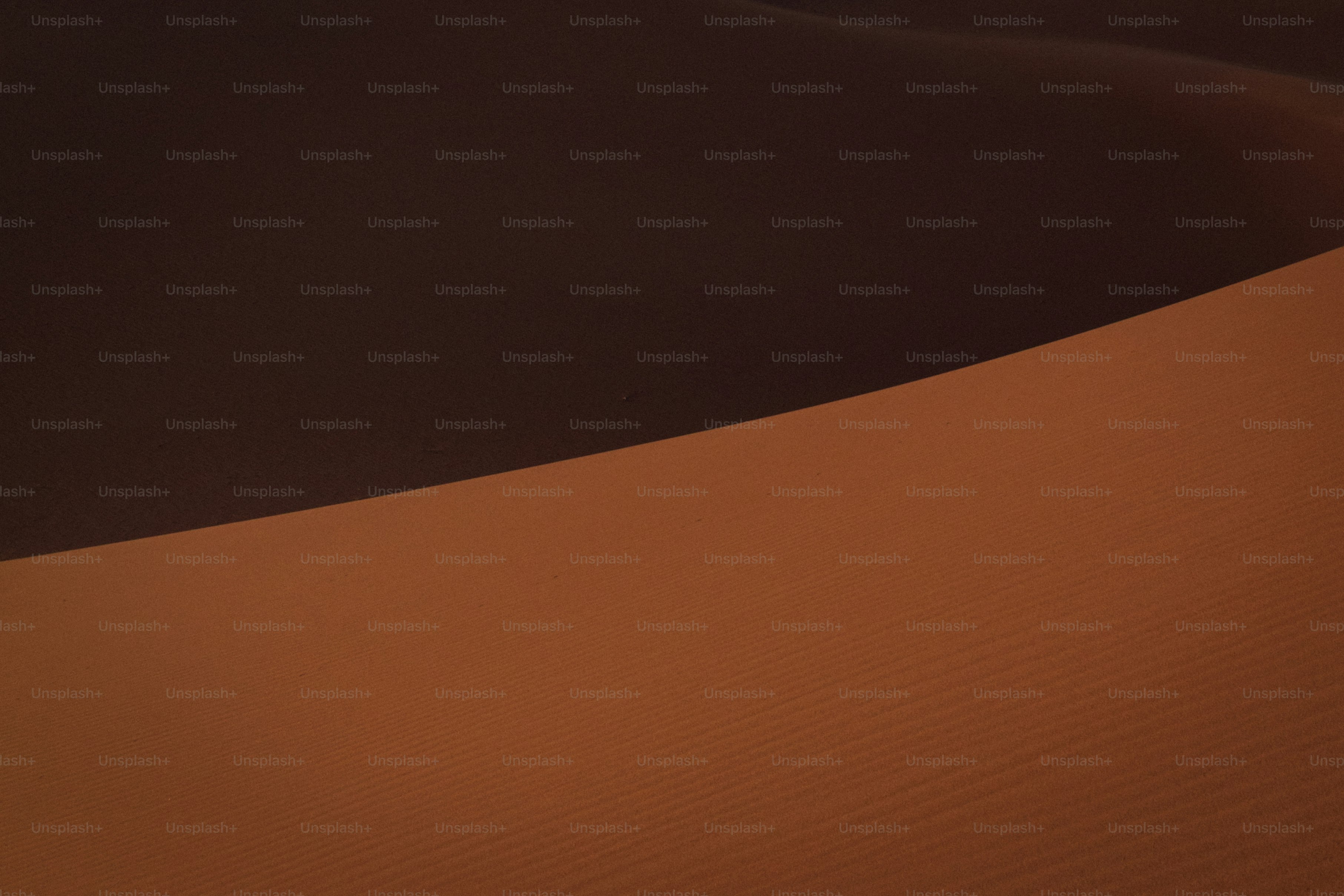 Sunlit and shadowed desert sand dunes