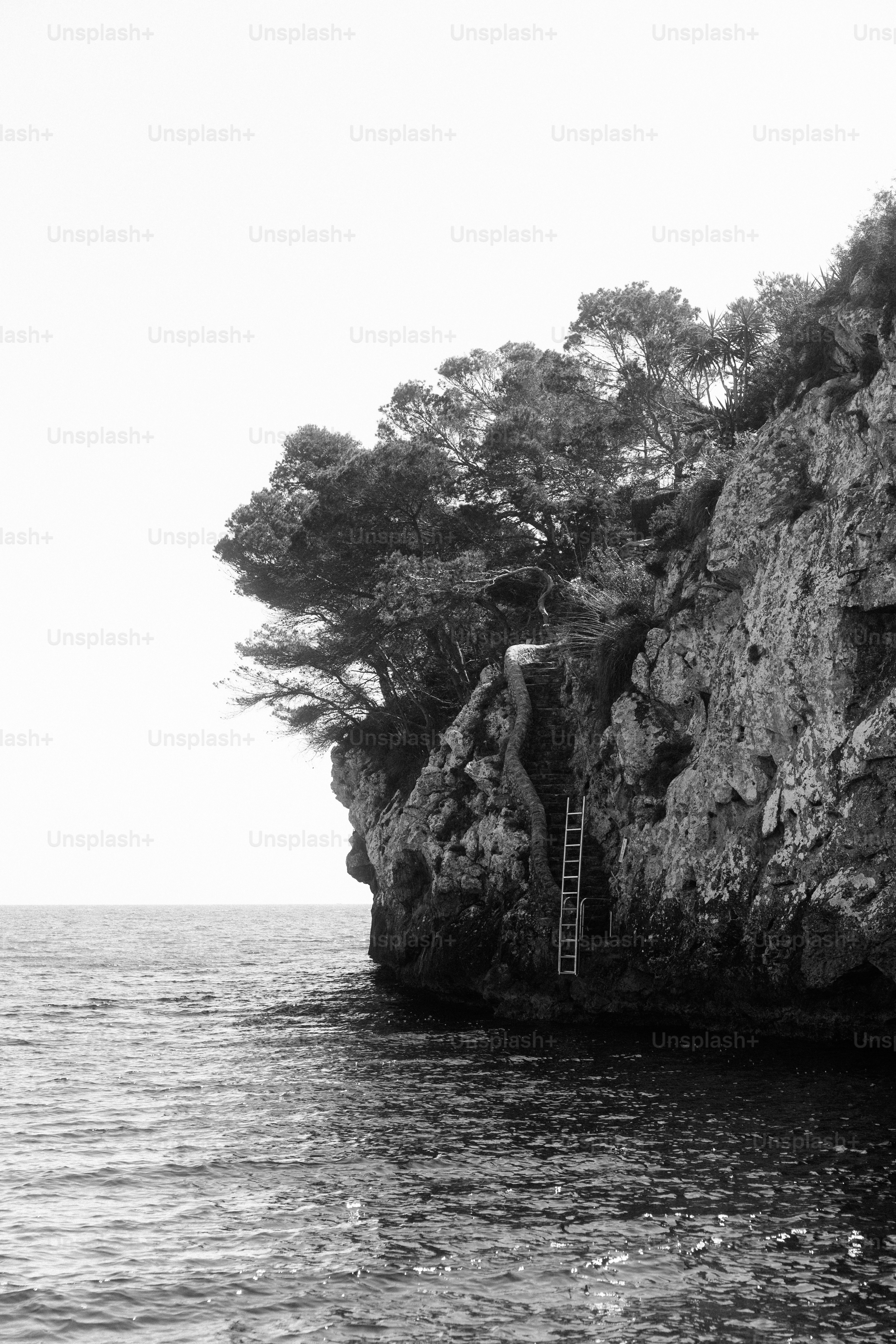 Rocky cliff with ladder to ocean