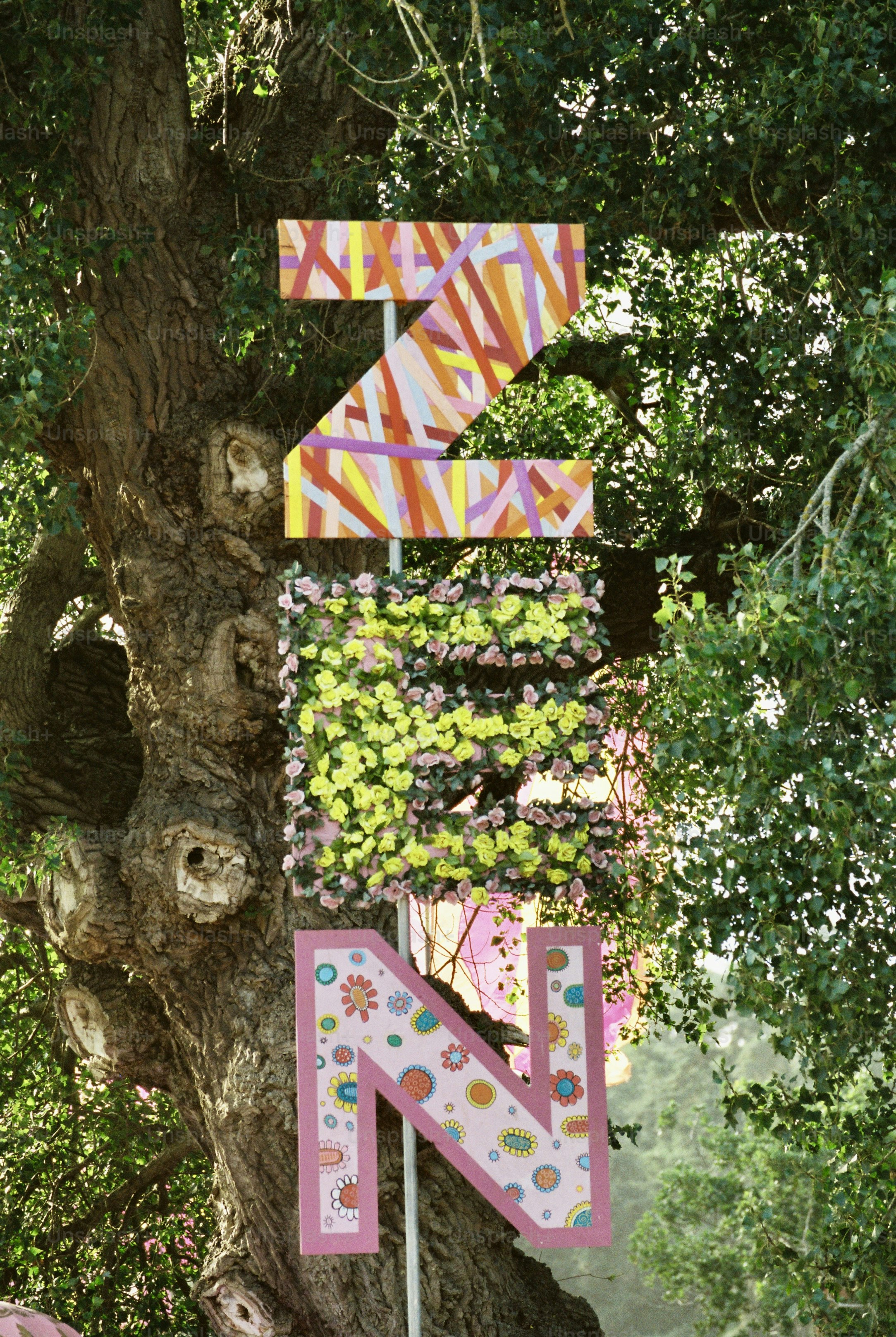 Hand-painted zen letters with blossom by gnarled oak