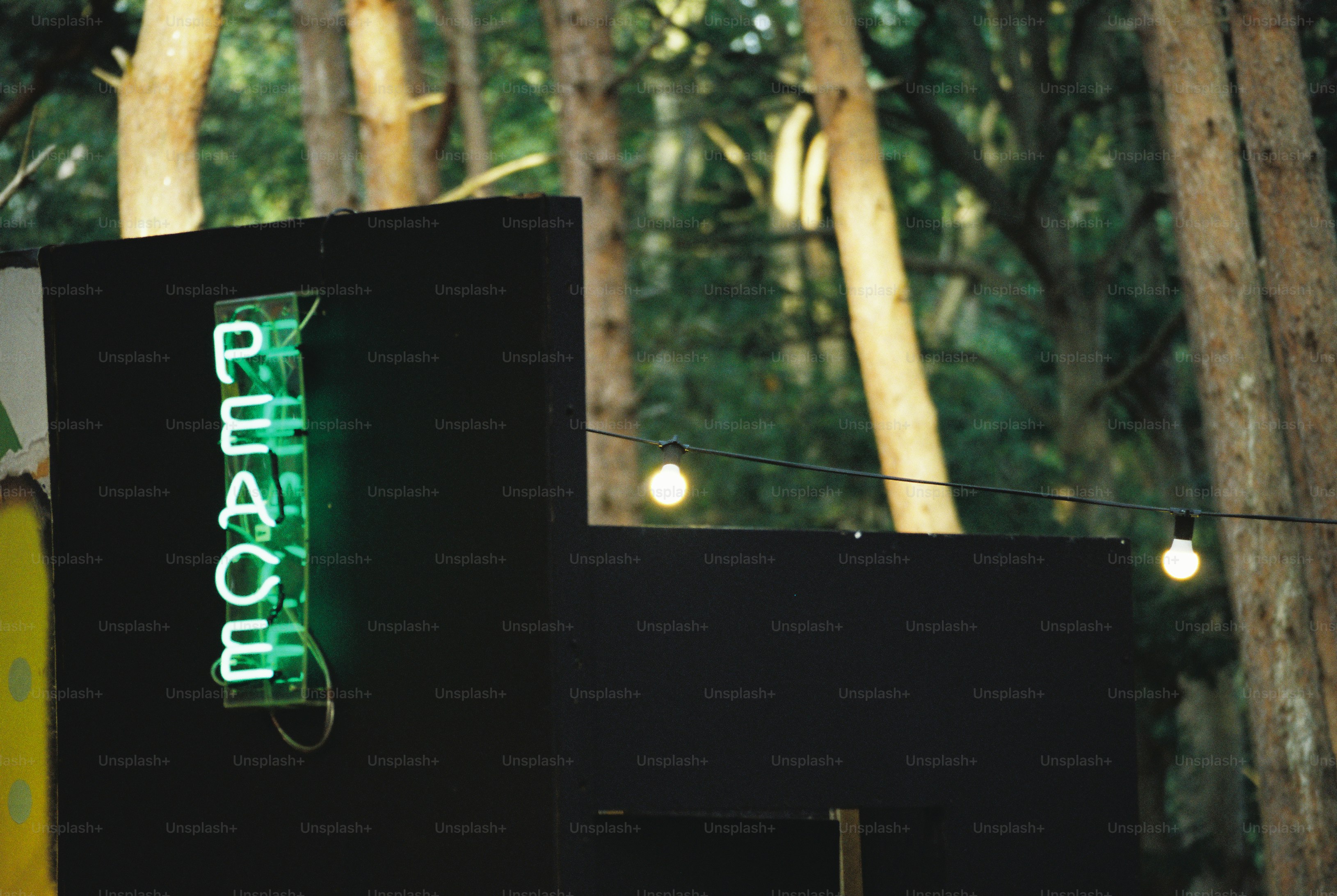 Green peace neon sign, pine trees, festoon lights