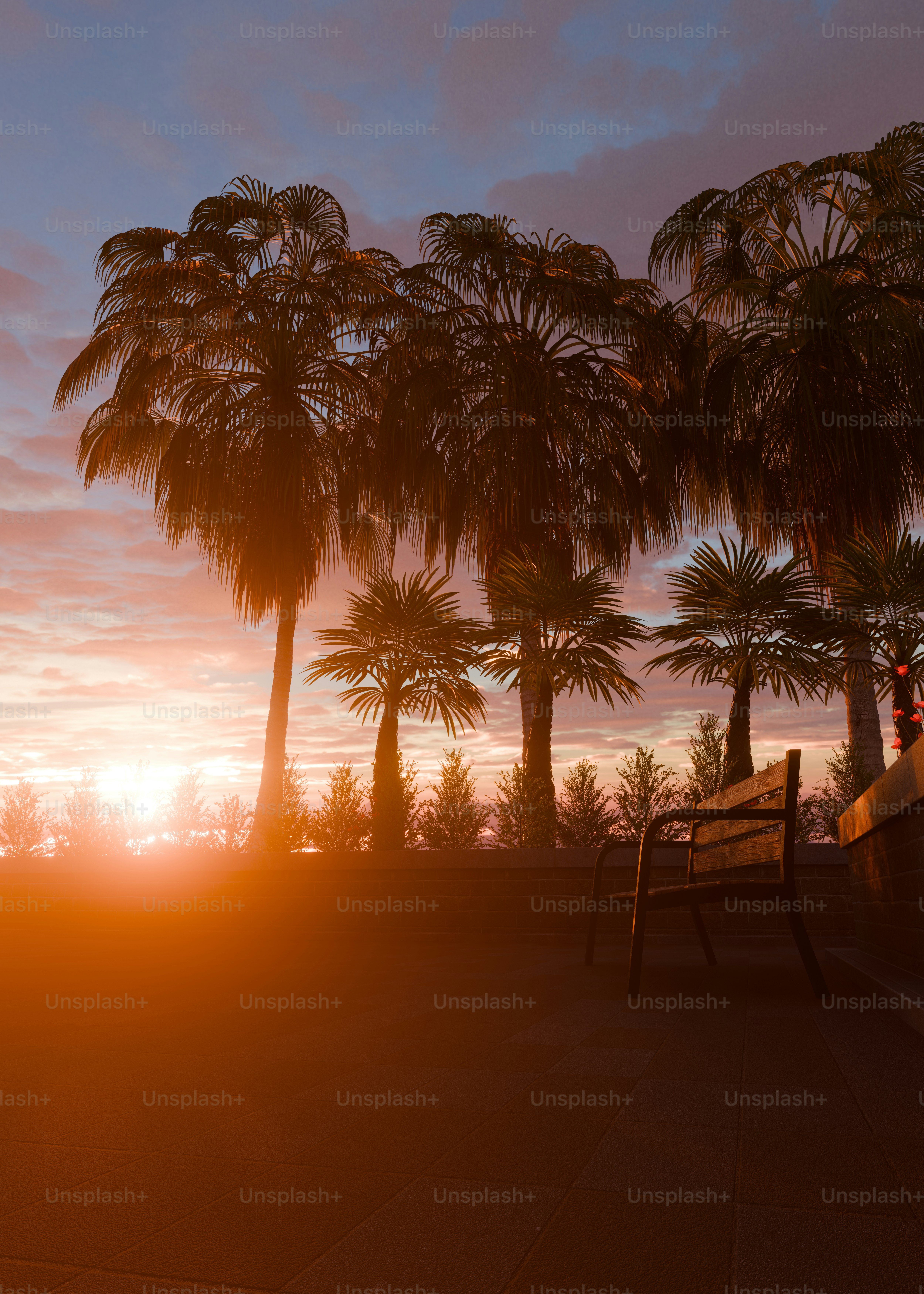 Silhouetted palm trees and bench at vibrant sunset