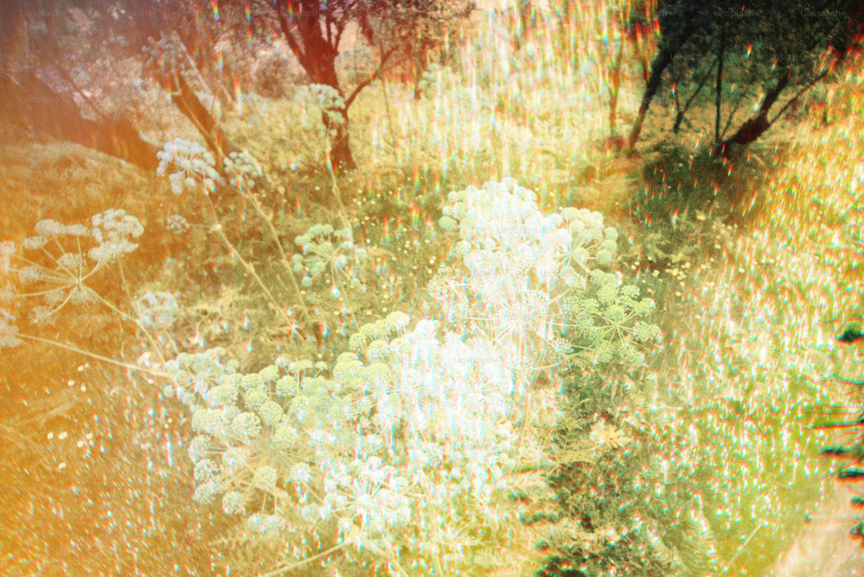 Paysage abstrait aux couleurs chaudes et aux plantes texturées