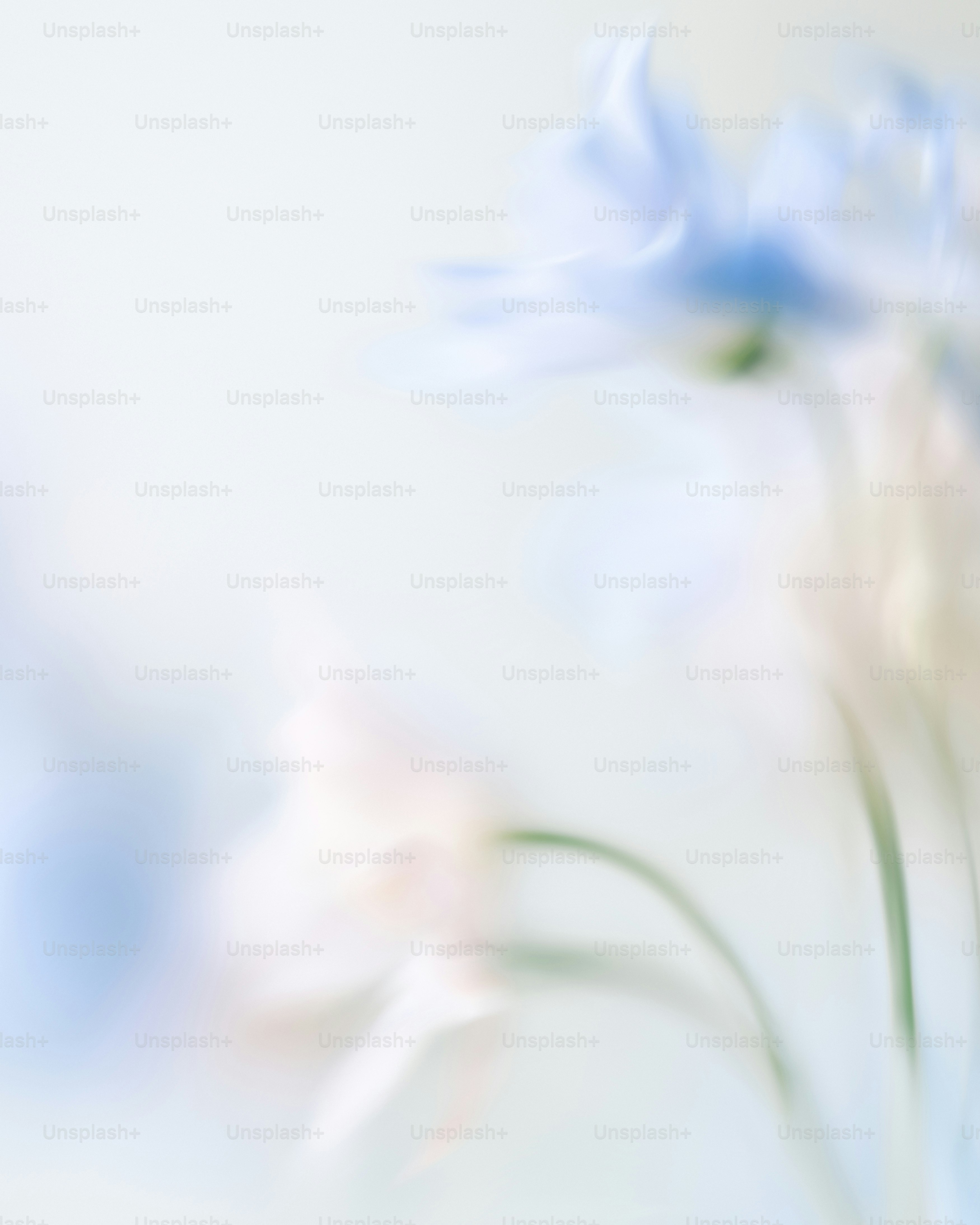 Soft focus pastel blue and pink flowers