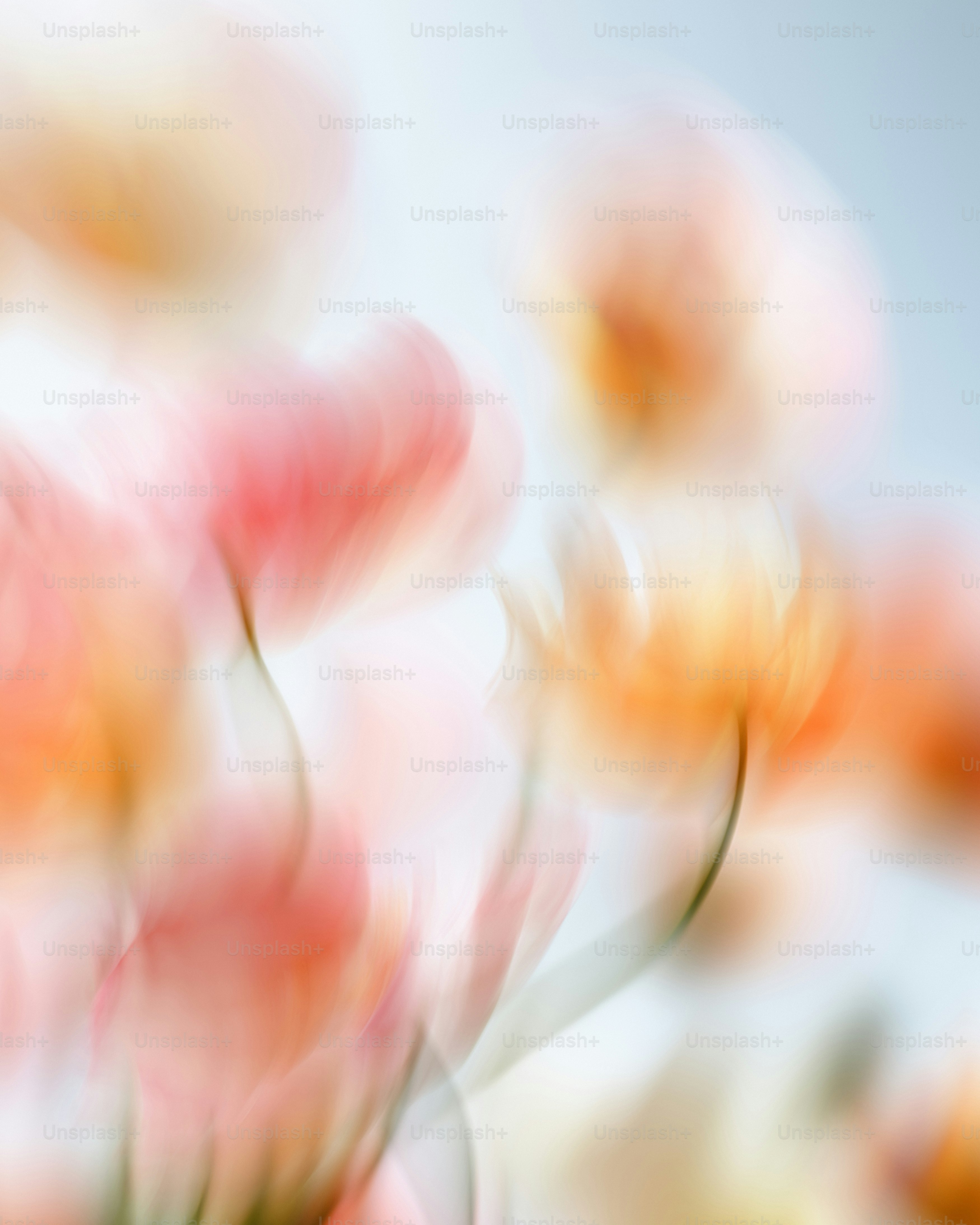 Softly blurred pink and orange floral abstract