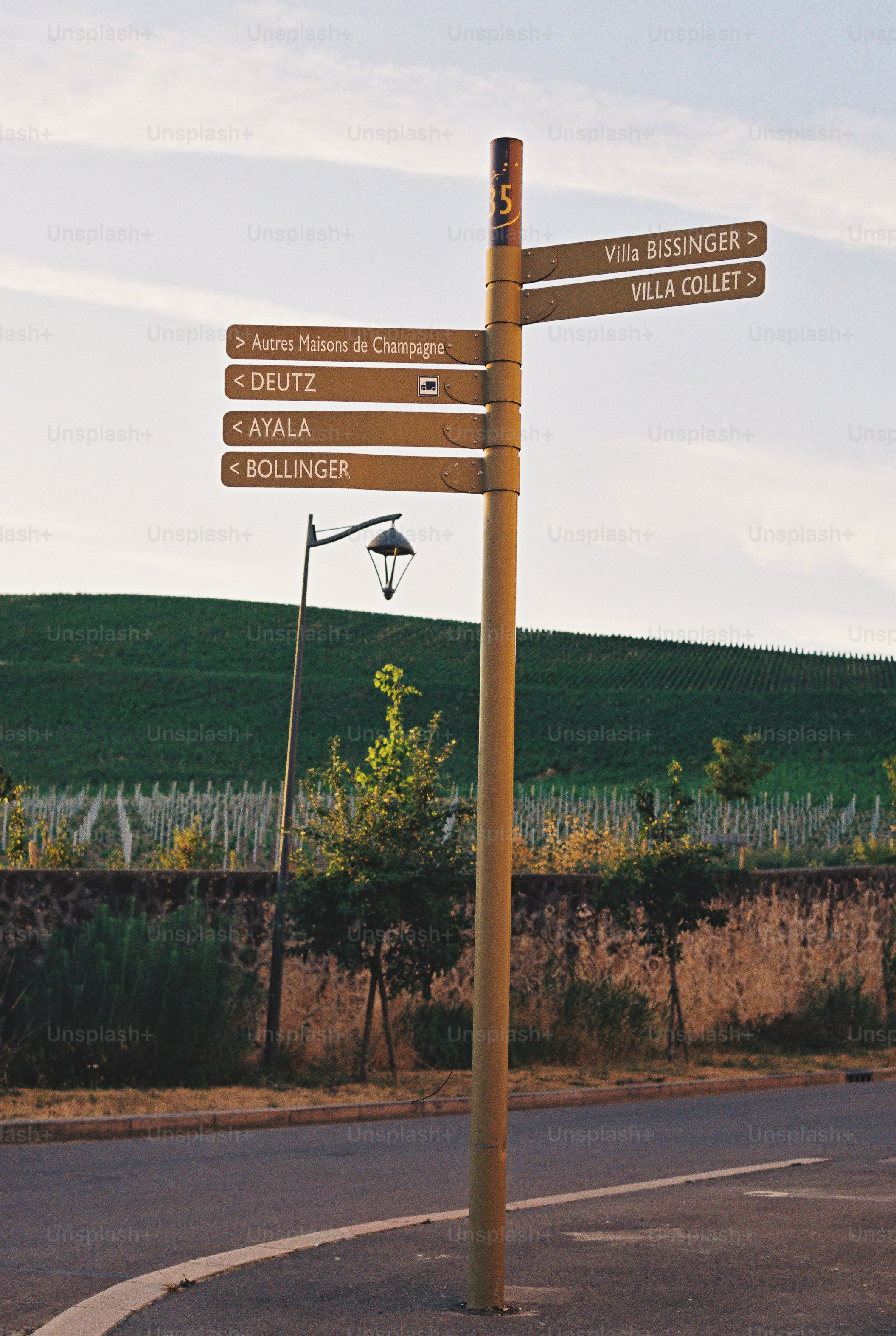 Signpost directing to champagne houses with vineyard