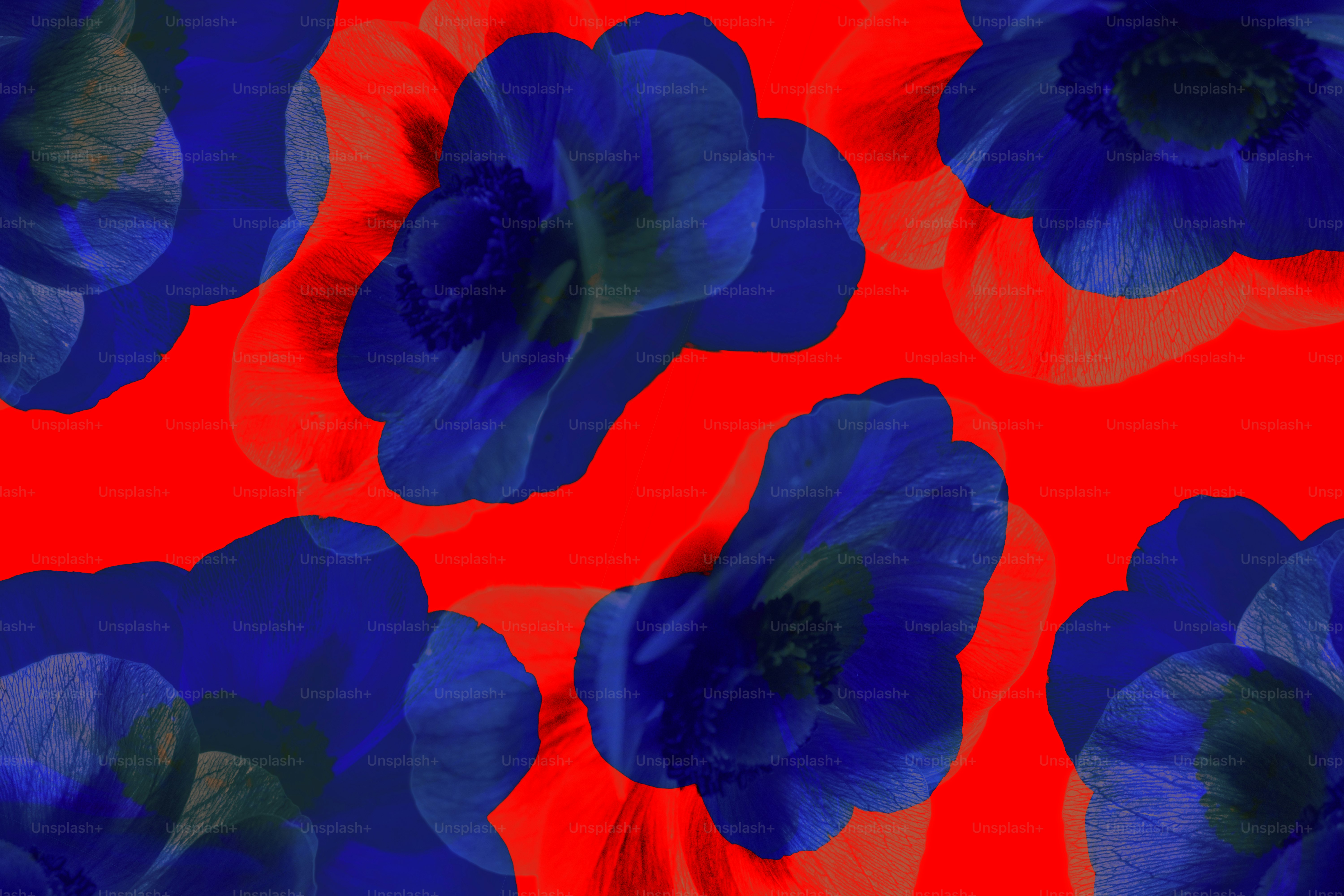 Vibrant red background with translucent blue floral shapes