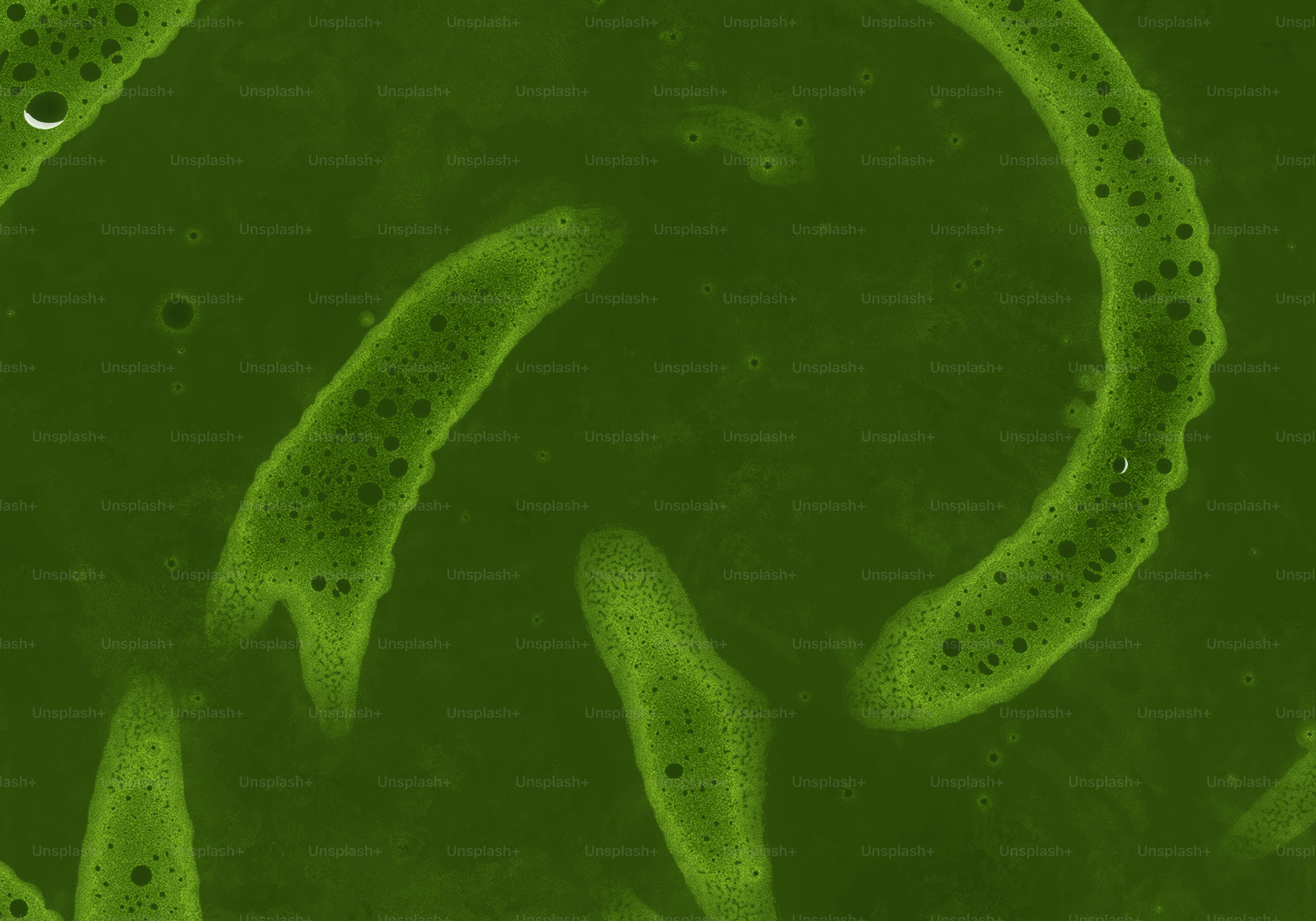 Abstract green foamy shapes on dark background