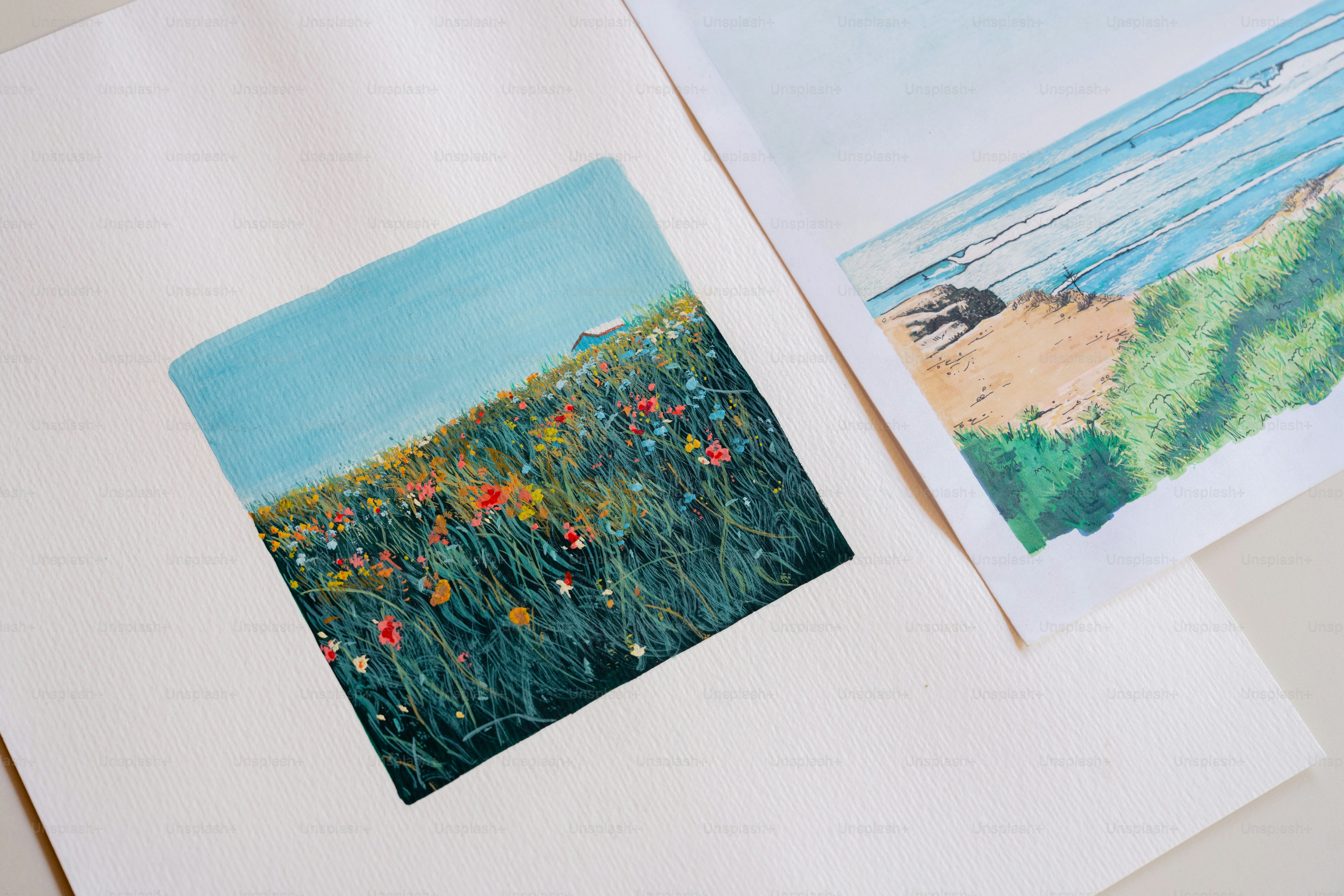 Pinturas de campos de flores silvestres e paisagens costeiras