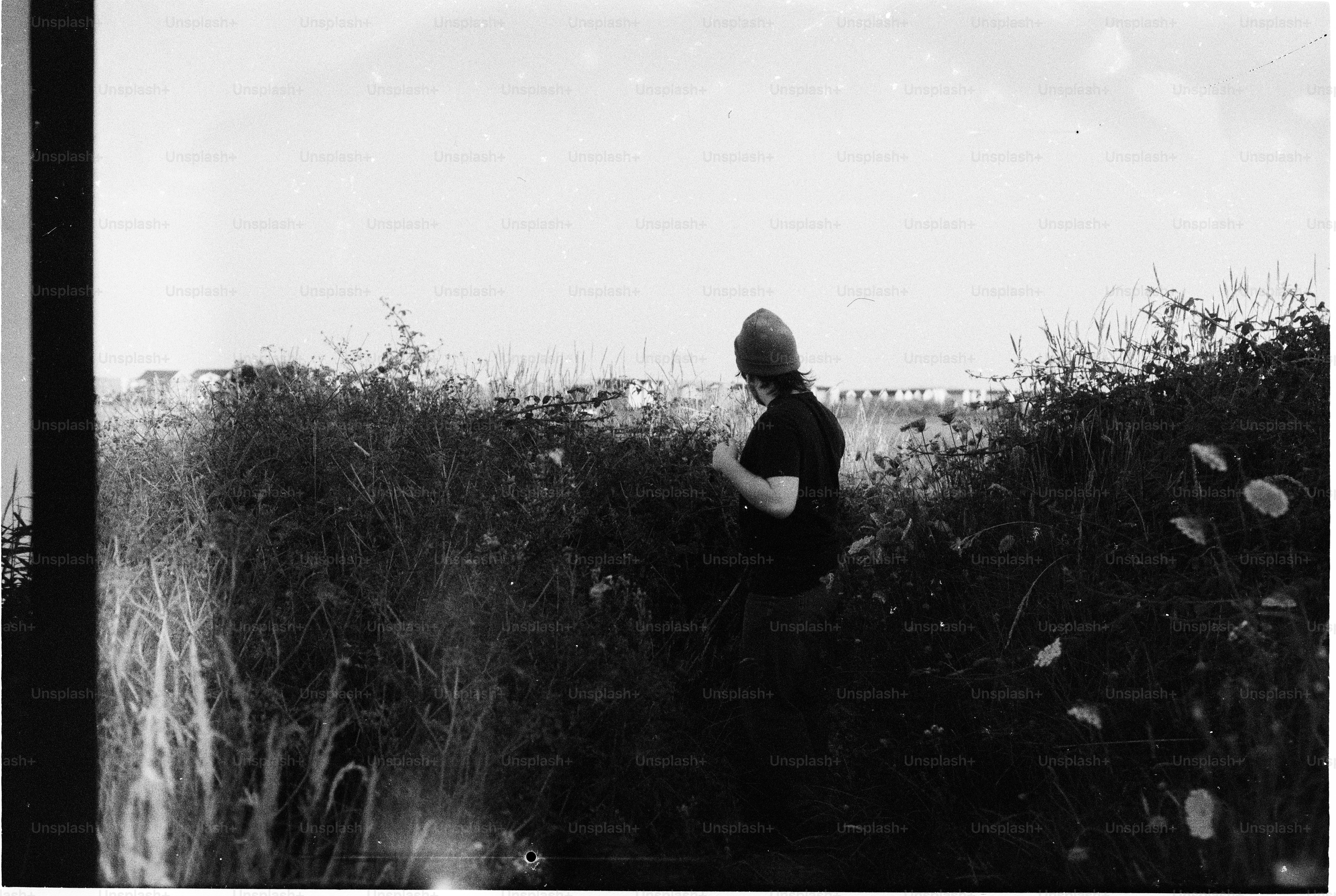 Person in tall grass looking at distant horizon