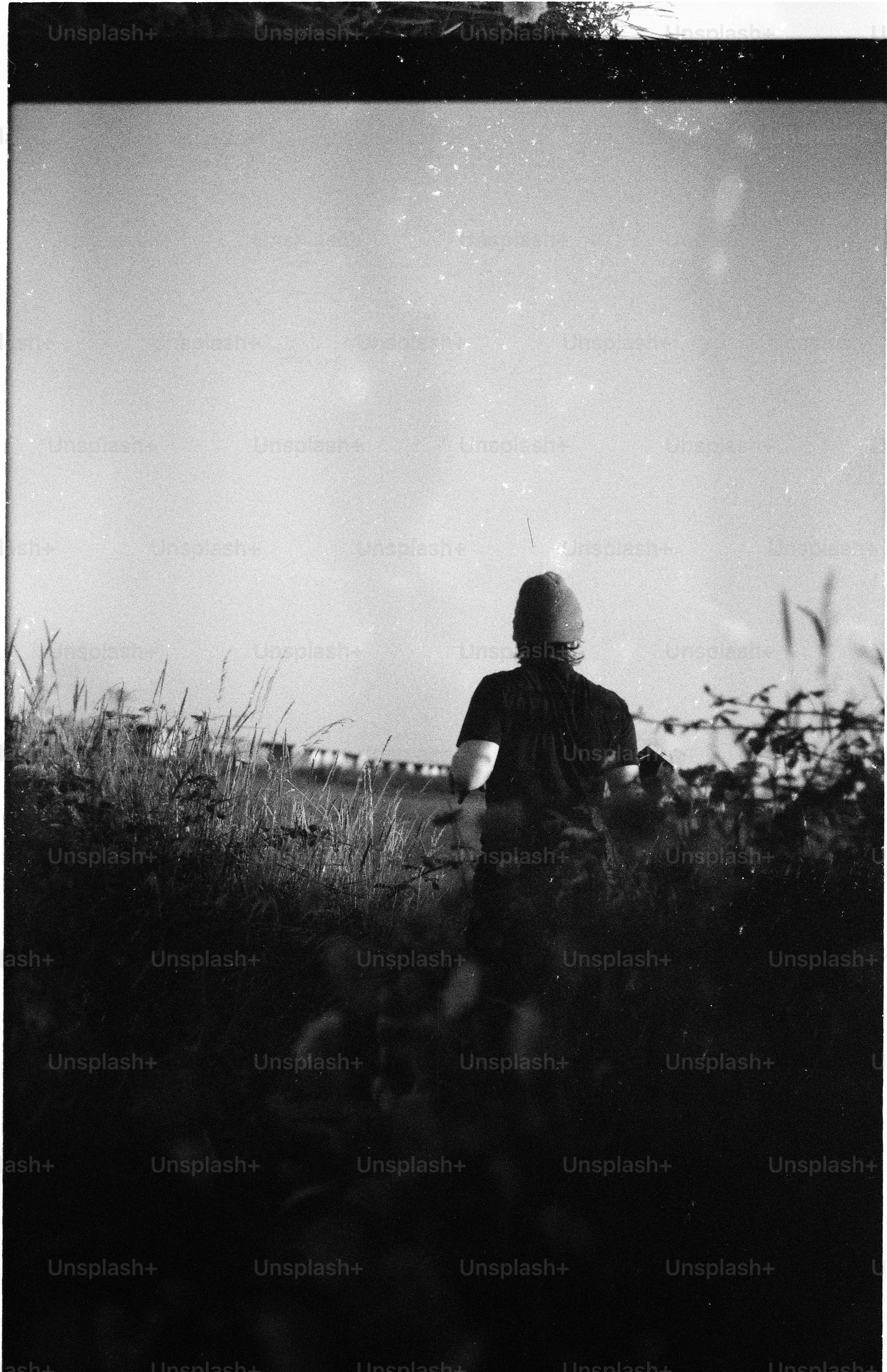 Person walking through tall grass under bright sky