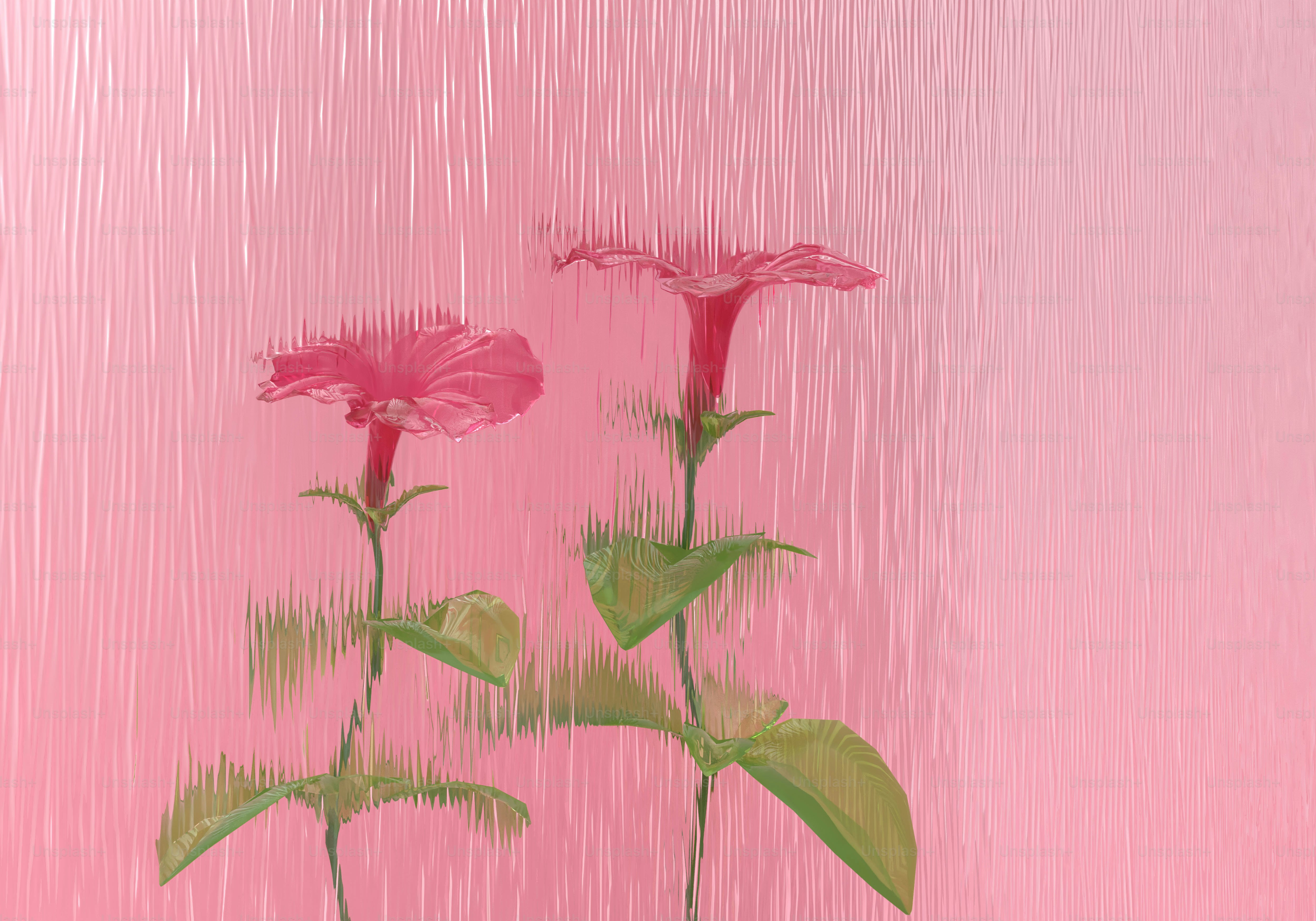 Two pink flowers with green leaves on textured background