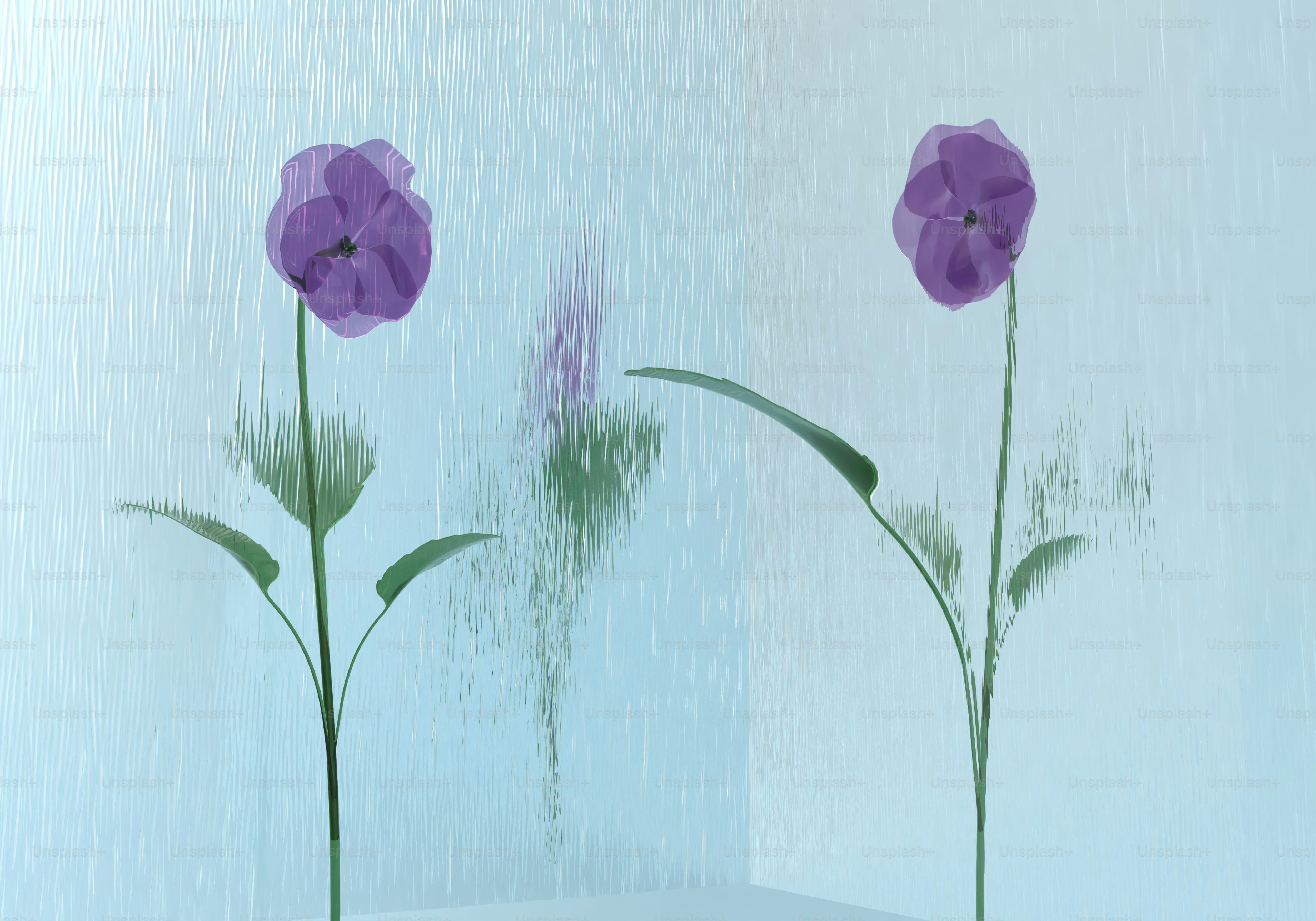Blurred purple flowers behind a wet glass pane