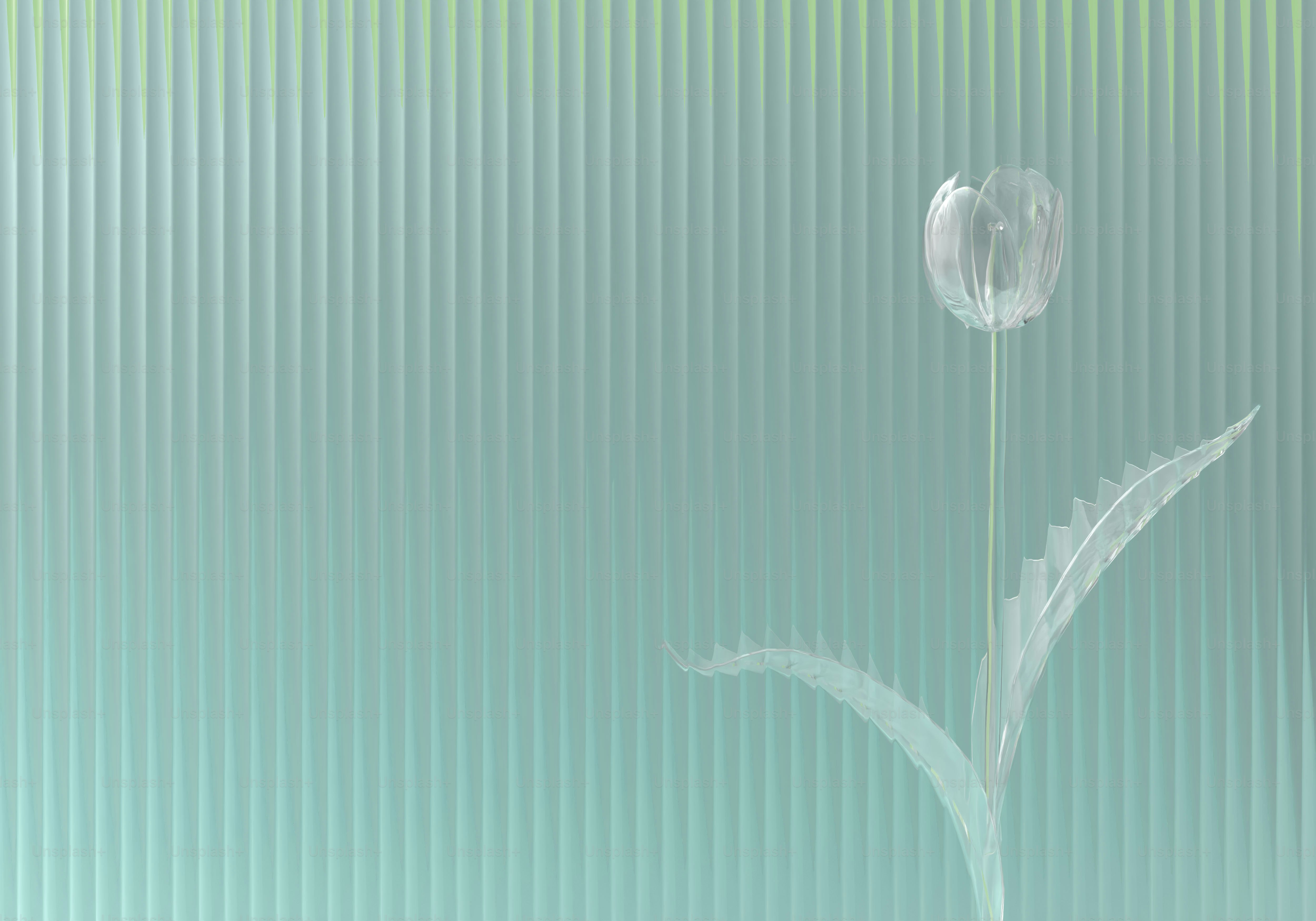 Translucent white flower on striped green teal background