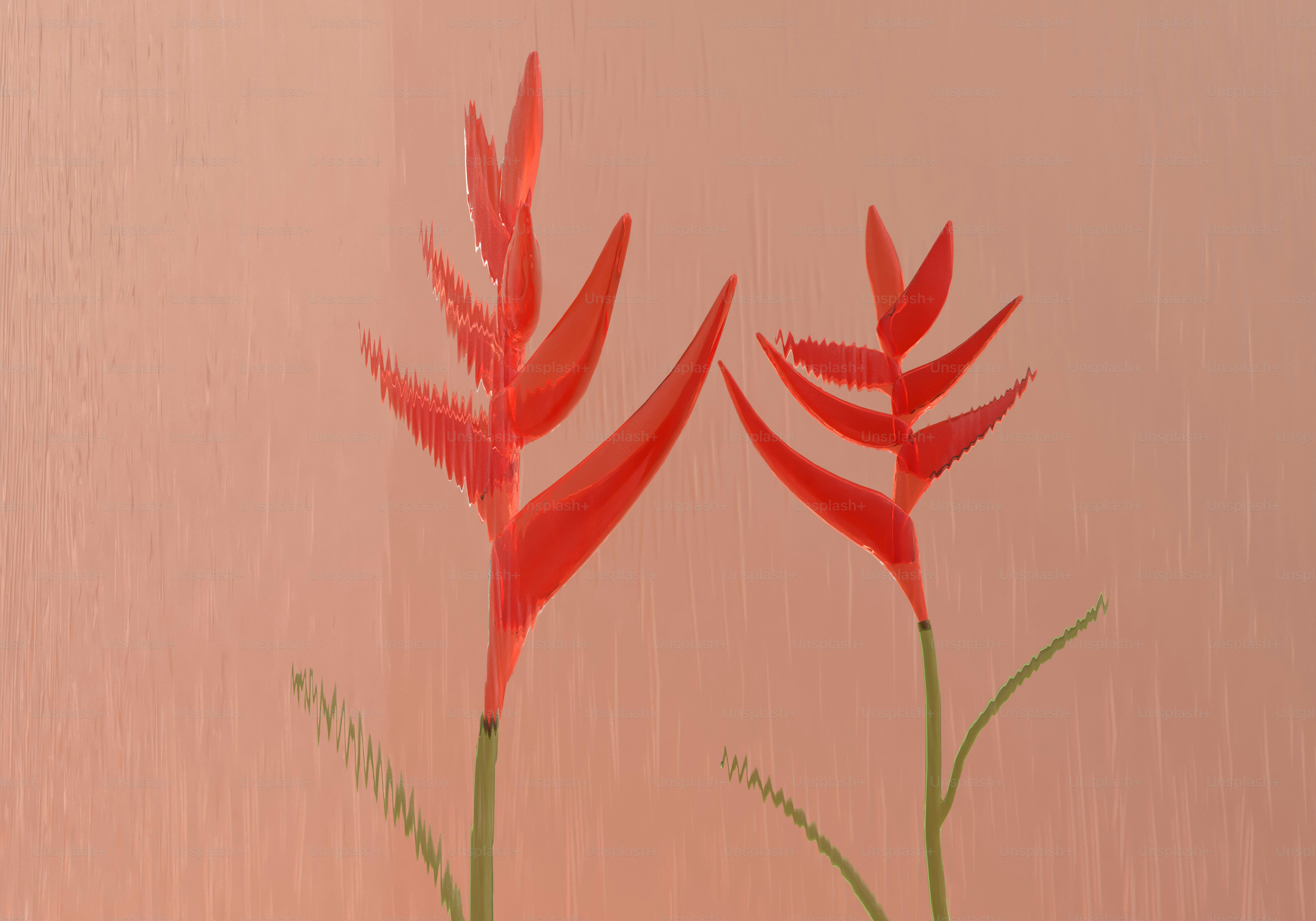 Vibrant red tropical flowers against a pink background