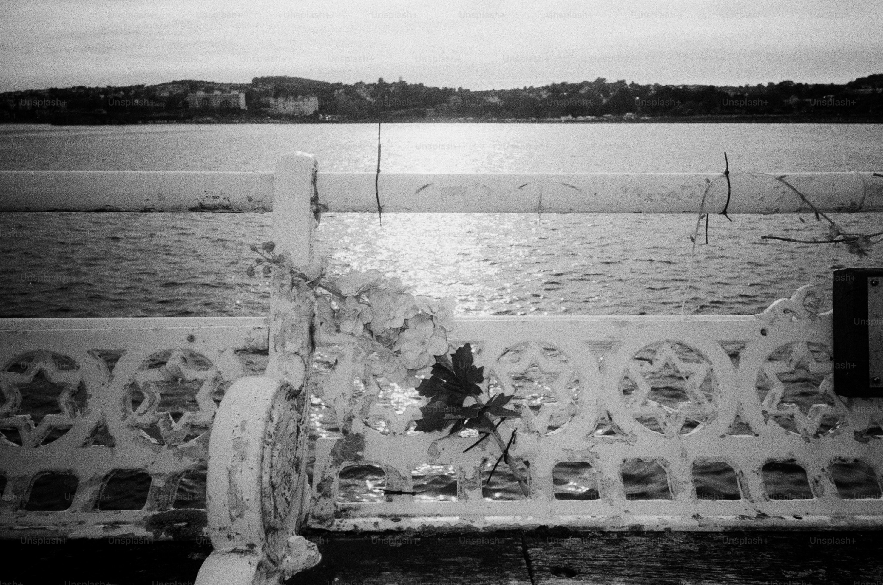Ornate railing on deserted pier overlooking water