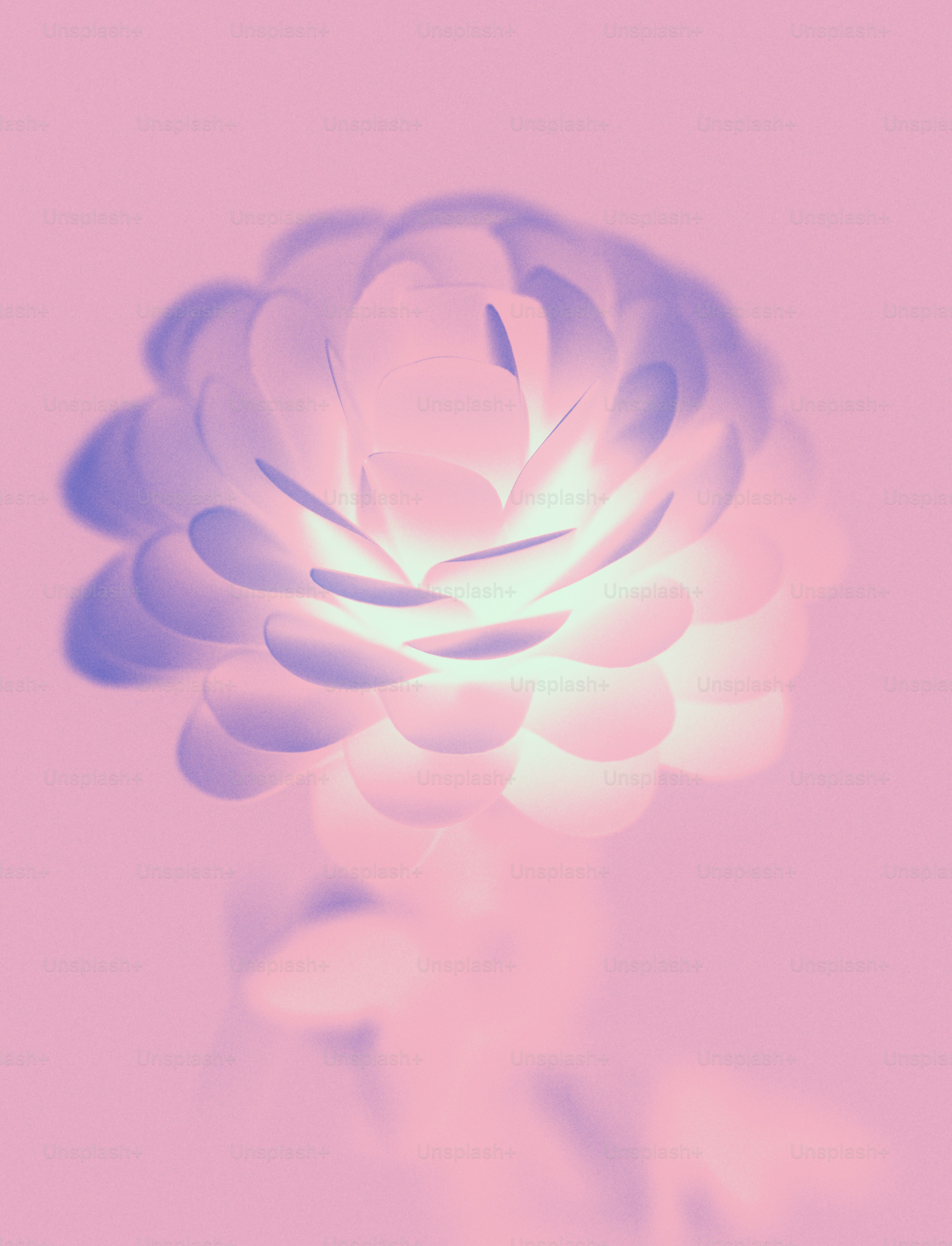 Vibrant pink and purple whale with white spots photo – Abstract Image ...