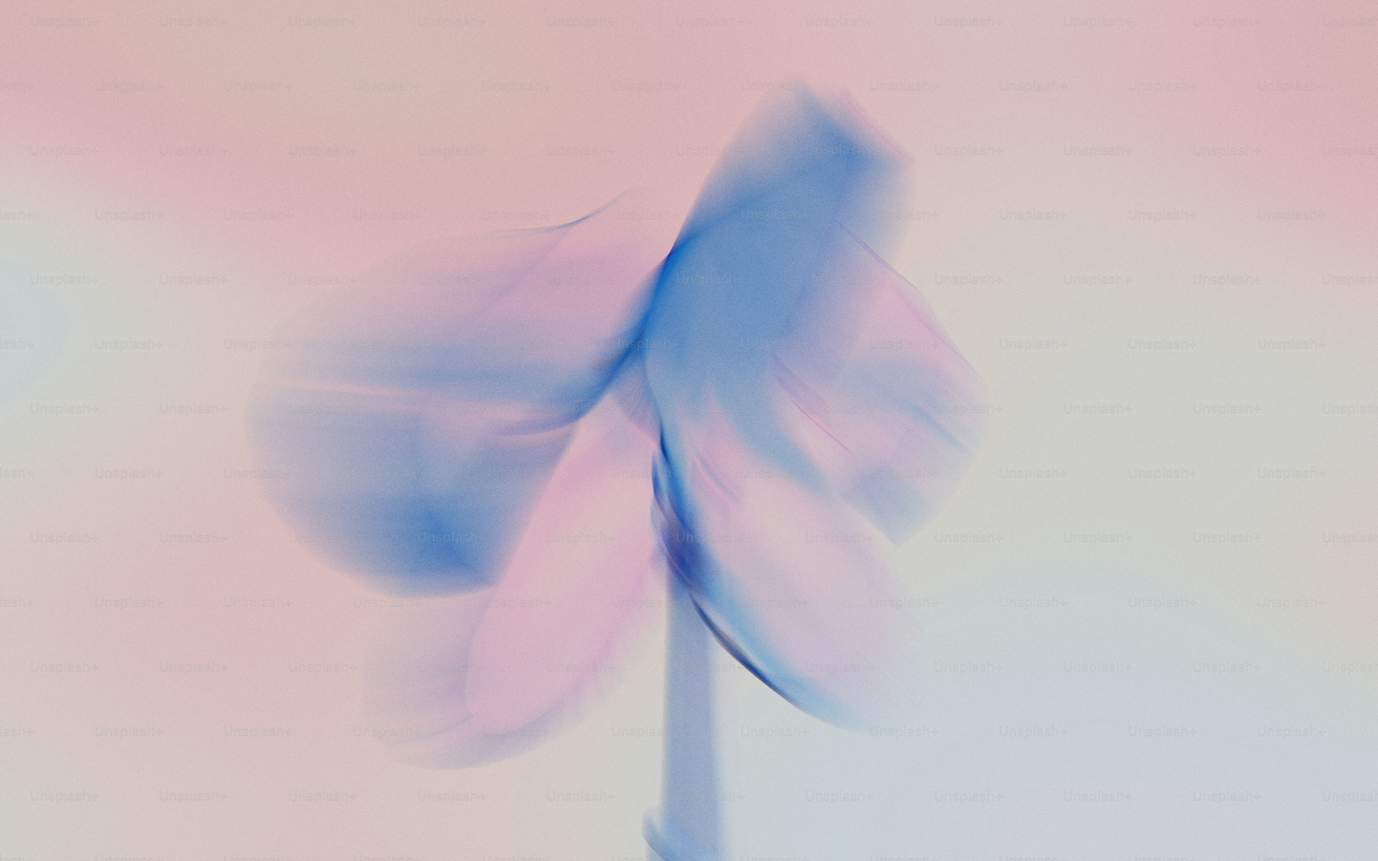 Desenfoque abstracto de flores rosas y azules