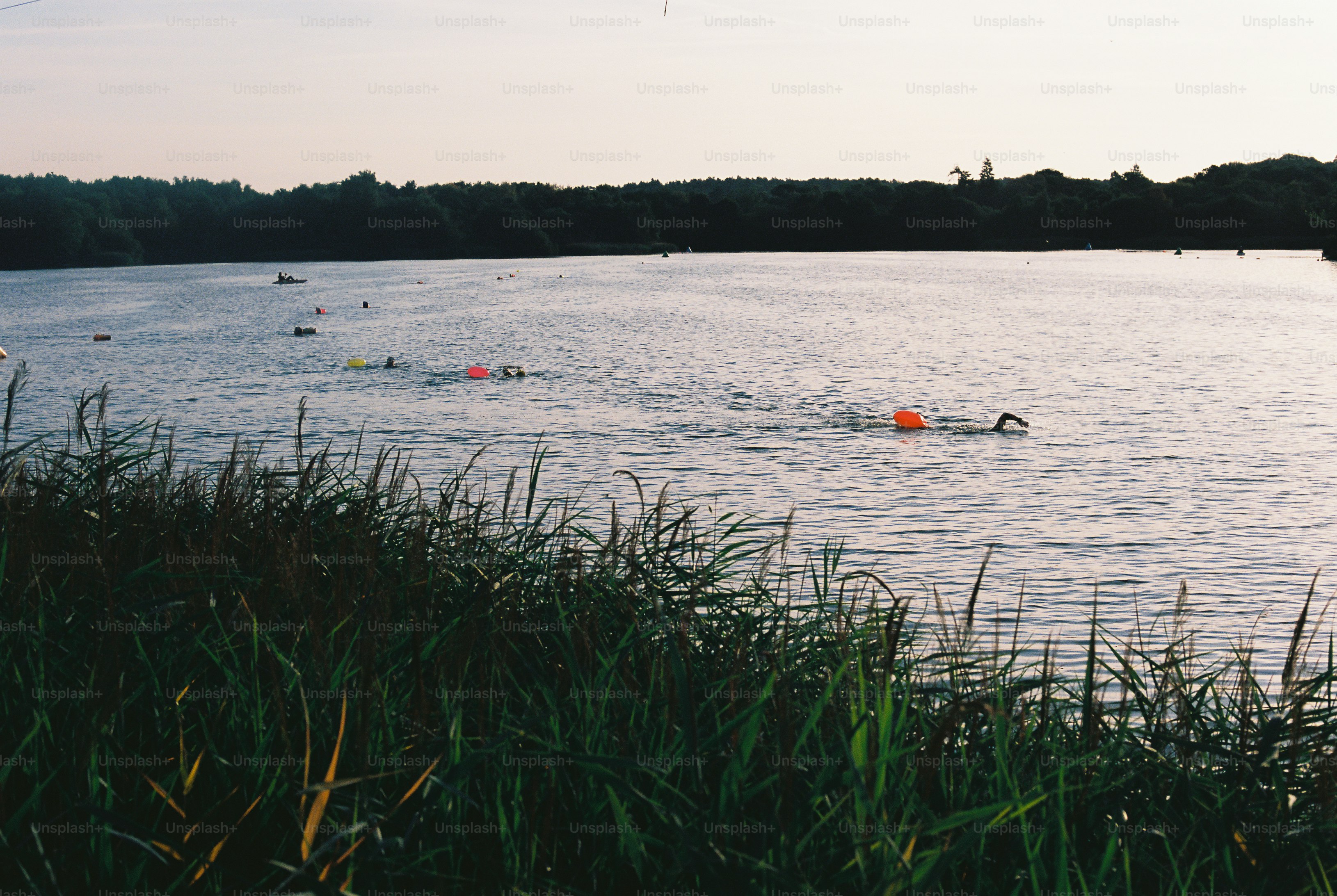 Swimmers with orange buoys in a lake