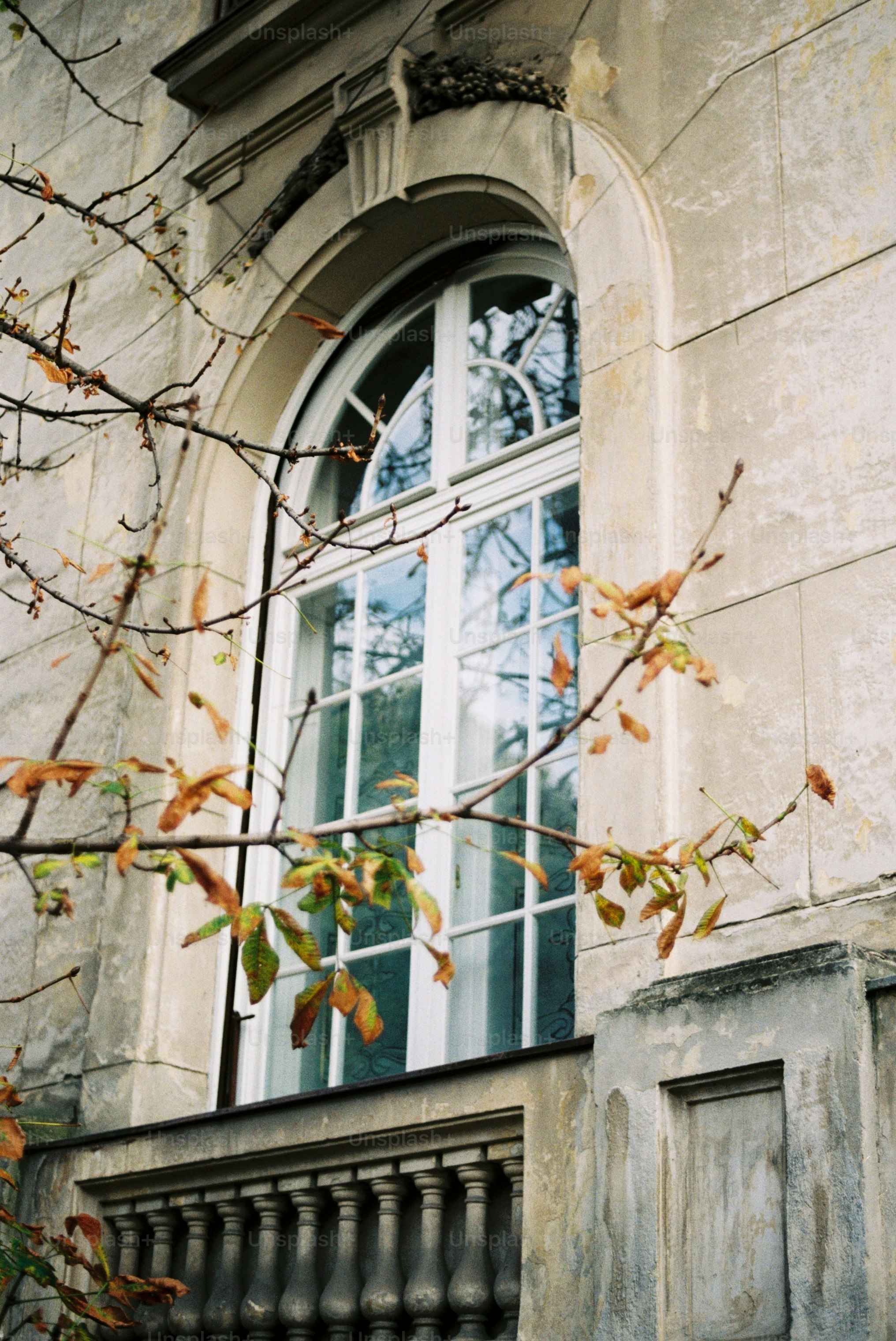 Arched window on stone building framed by autumn leaves