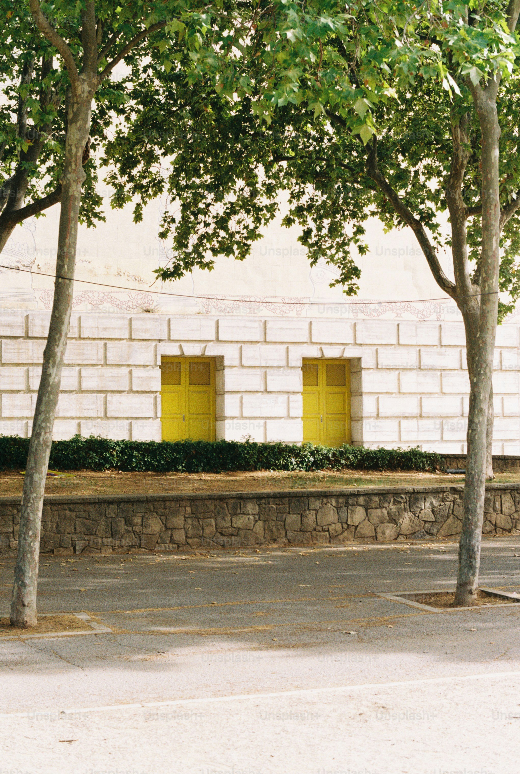 Trees frame building with bright yellow windows
