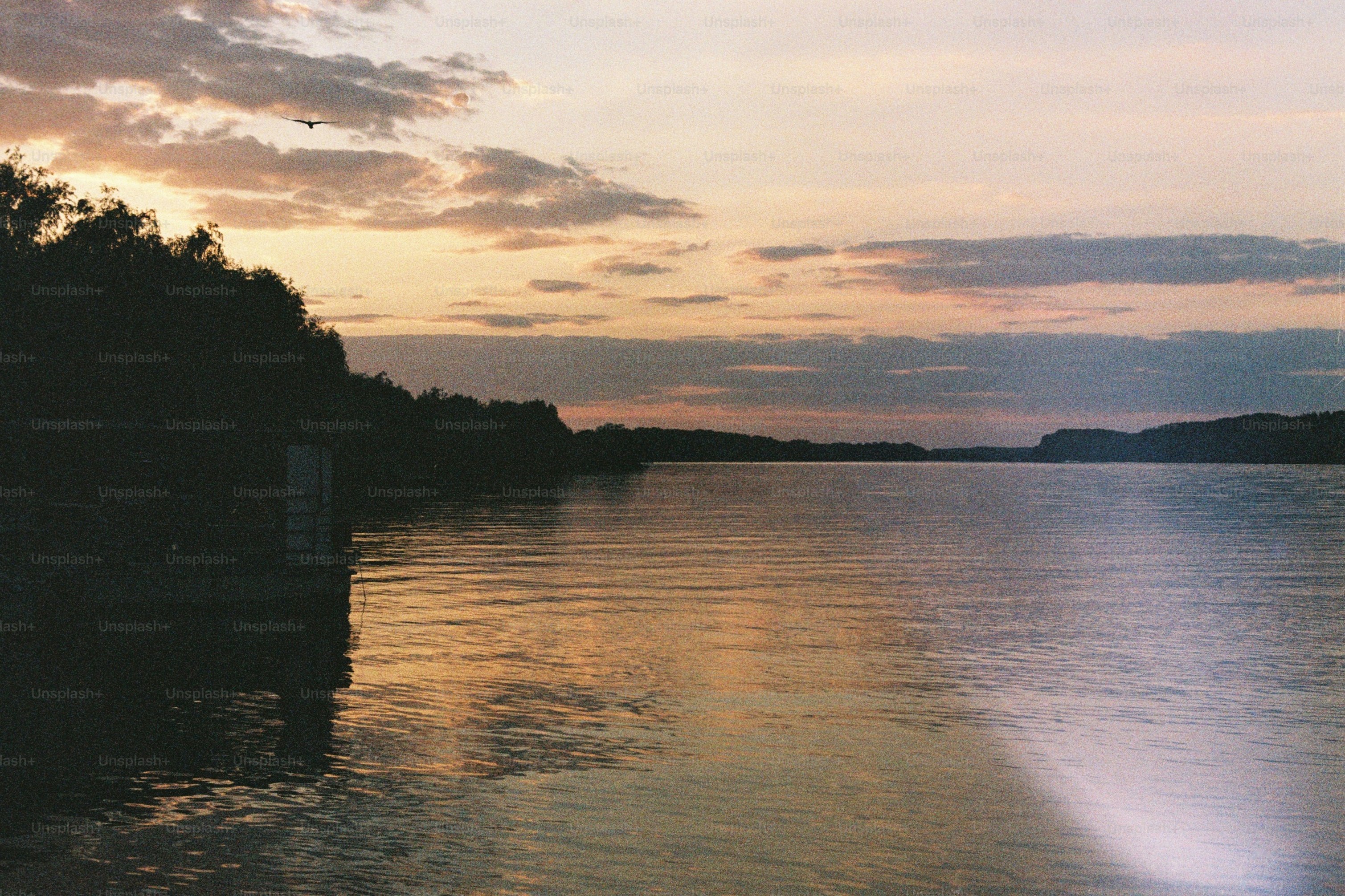 Sunset over a tranquil lake with trees and clouds