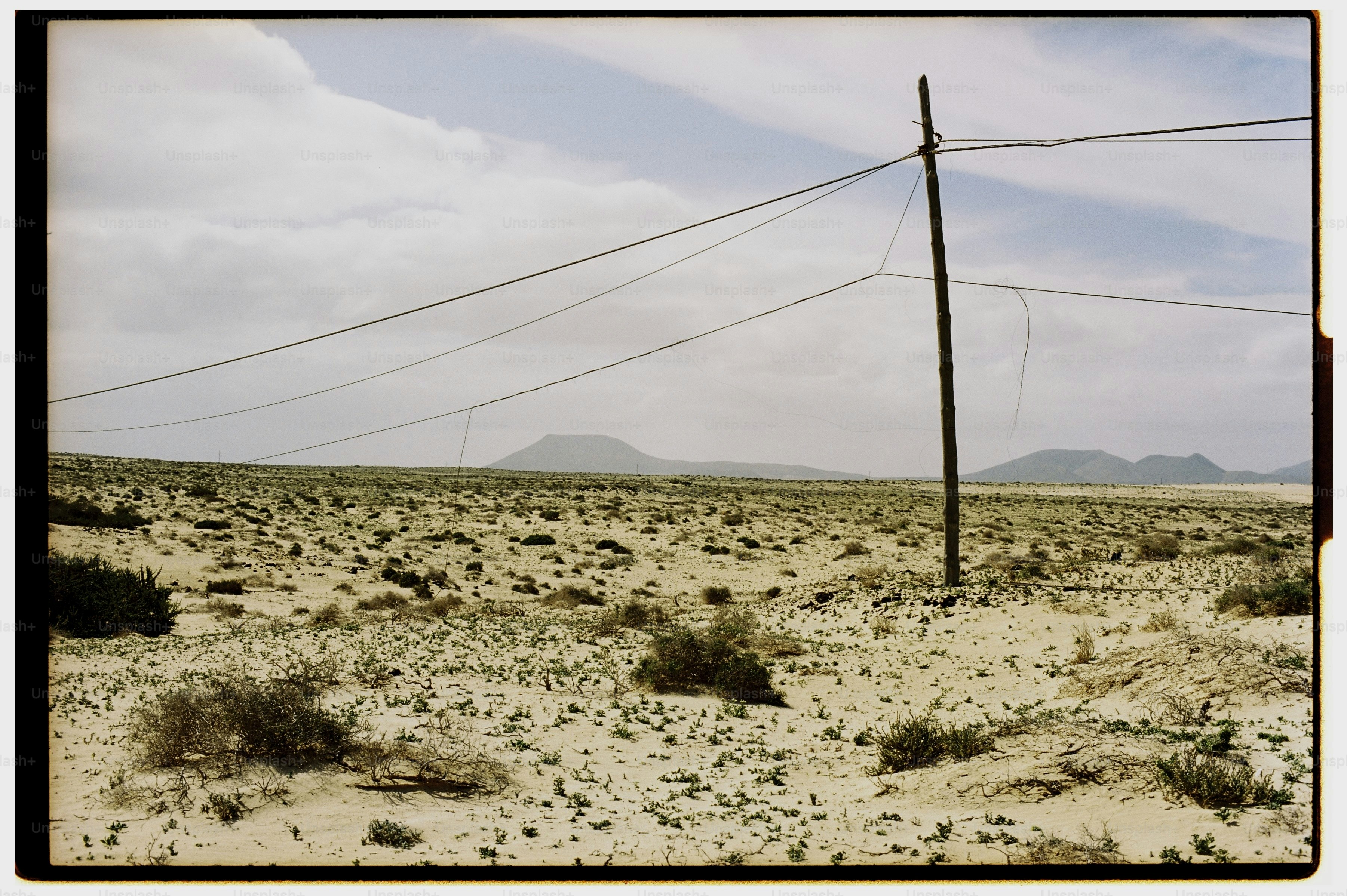 A wooden utility pole with power lines in a vast, arid desert landscape